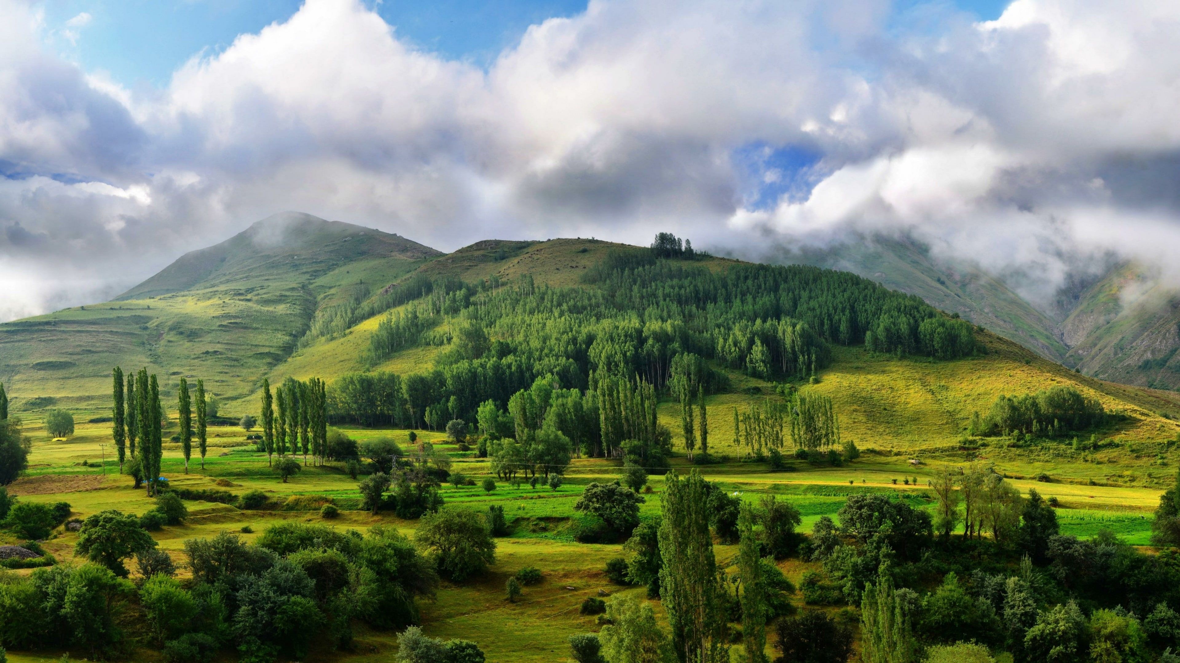 Kaсkar Mountains, Cypress Tree Wallpaper, 3840x2160 4K Desktop