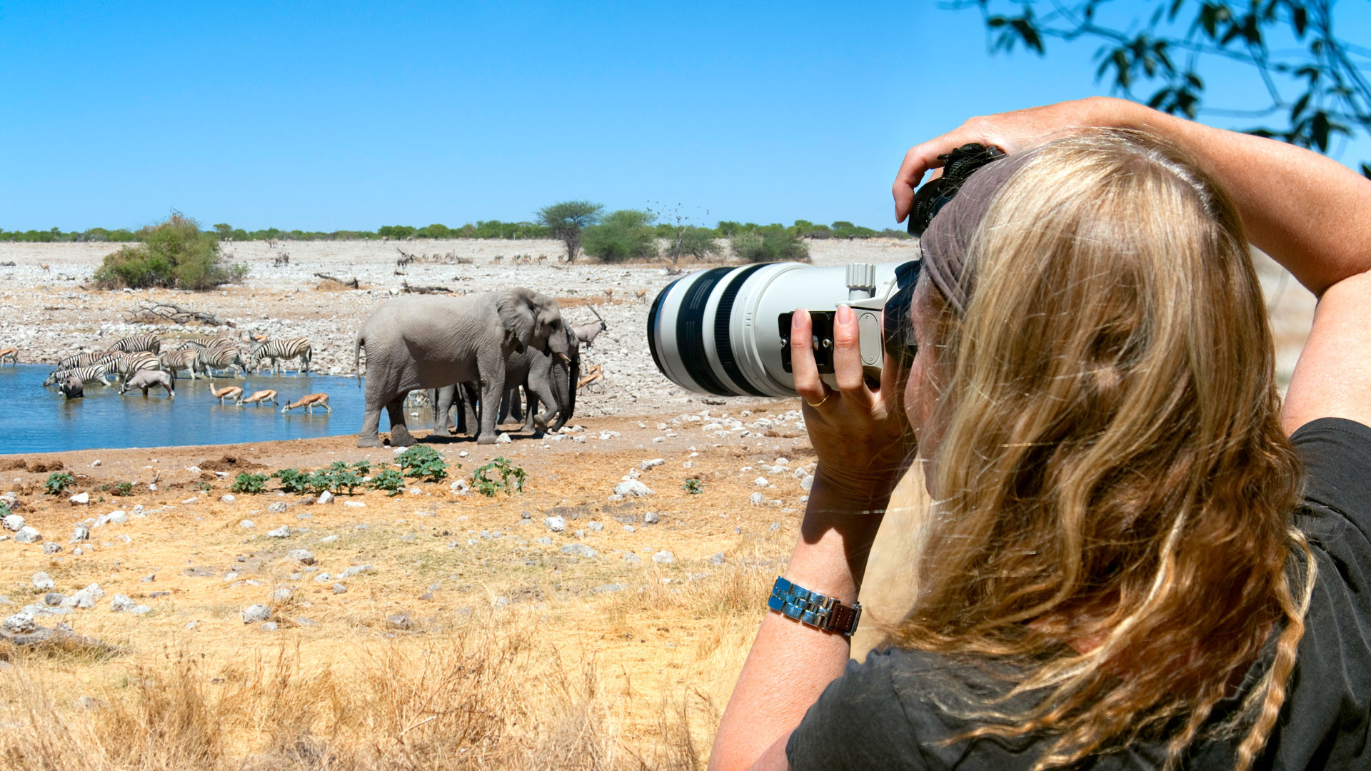 Etosha National Park, Photography, Birding, Andbeyond, 1920x1080 Full HD Desktop