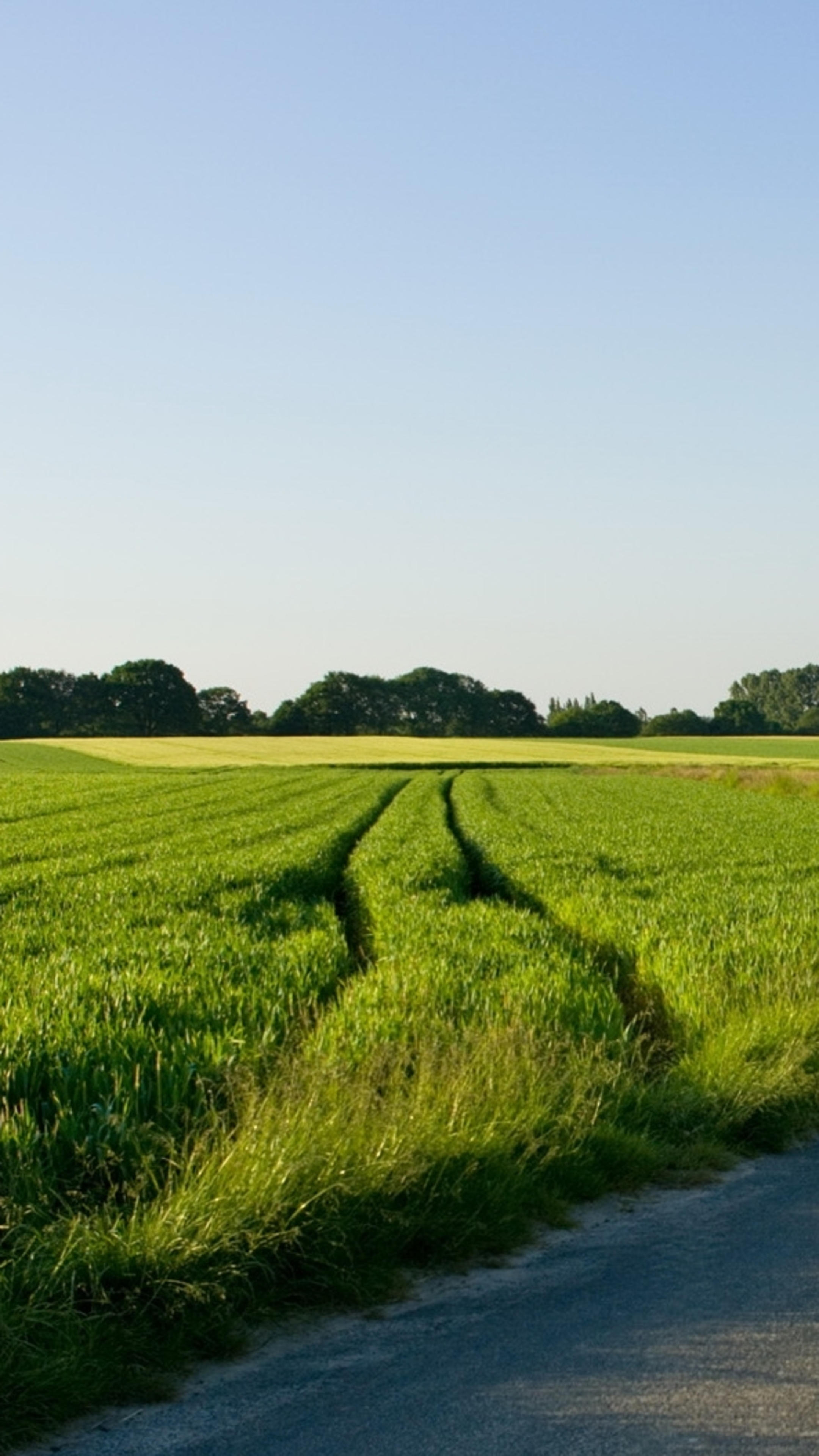 Background HD wallpaper, Rural landscape, 2160x3840 4K Phone