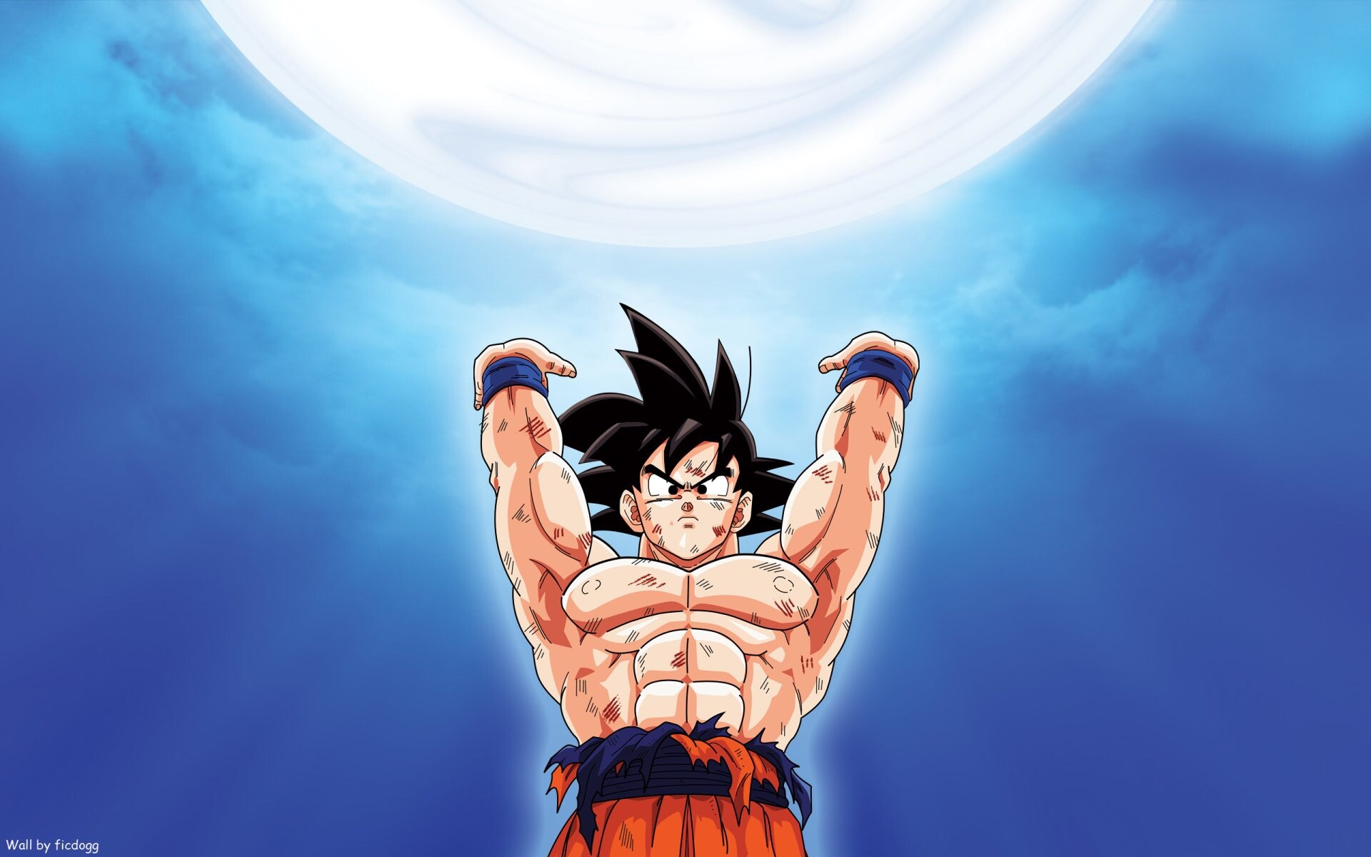 Goku, HD wallpapers, Iconic character, Anime art, 1920x1200 HD Desktop