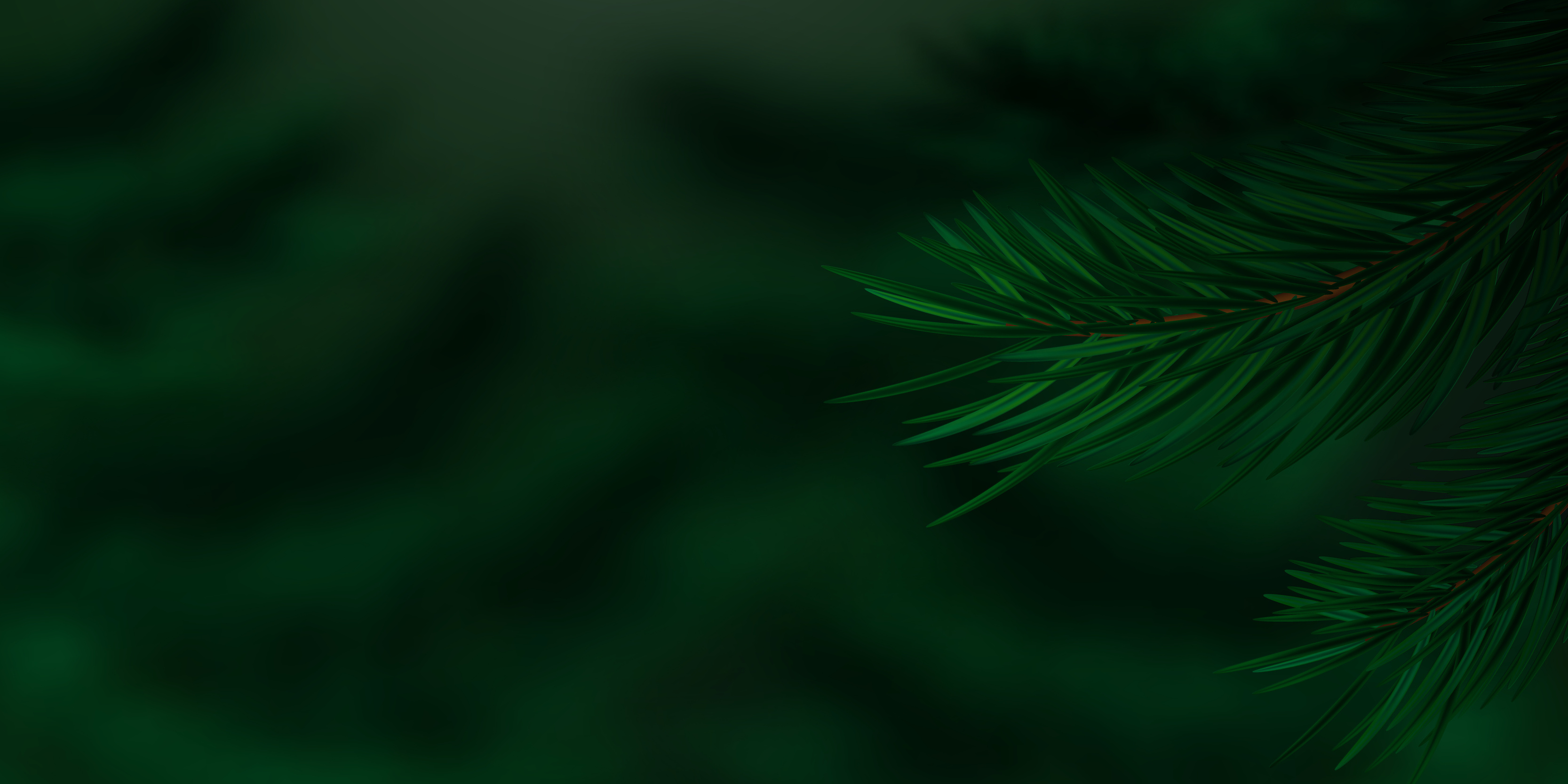 Coniferous twigs, Nature's backdrop, Pine or spruce, Vibrant vegetation, 3340x1670 HD Desktop