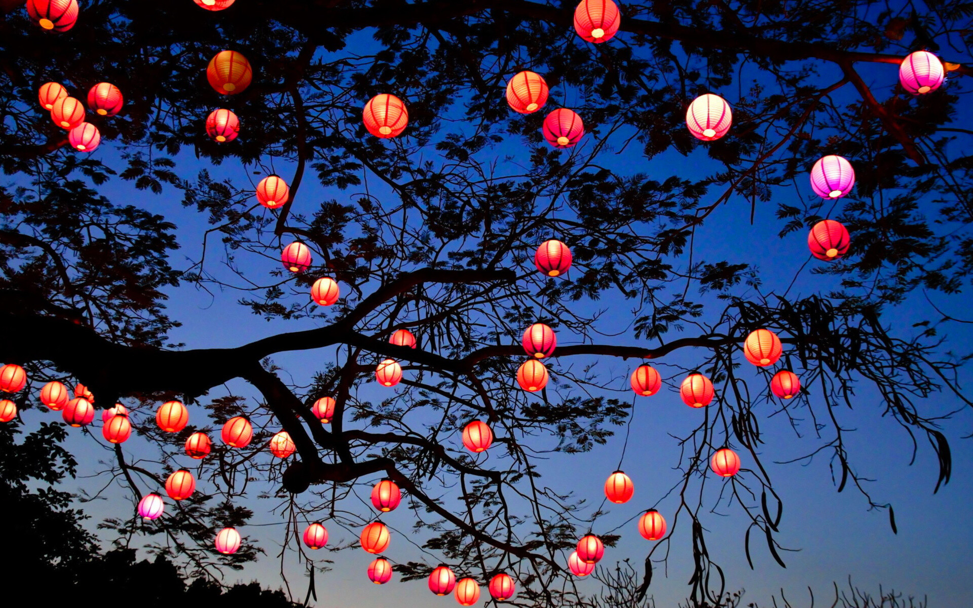 Chinese New Year, Lanterns Wallpaper, 1920x1200 HD Desktop