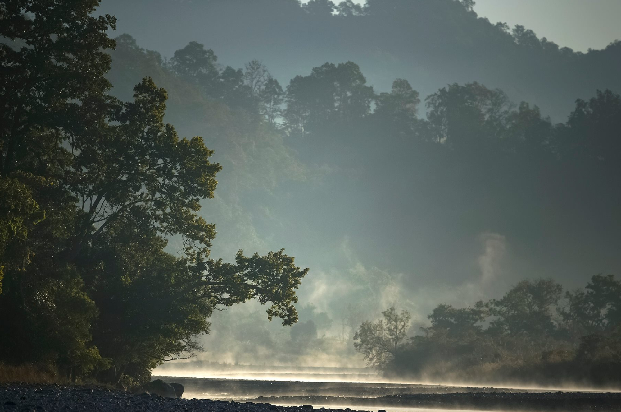 Photographer's paradise, Jim Corbett National Park, Wildlife photography, Natural beauty, 2000x1330 HD Desktop