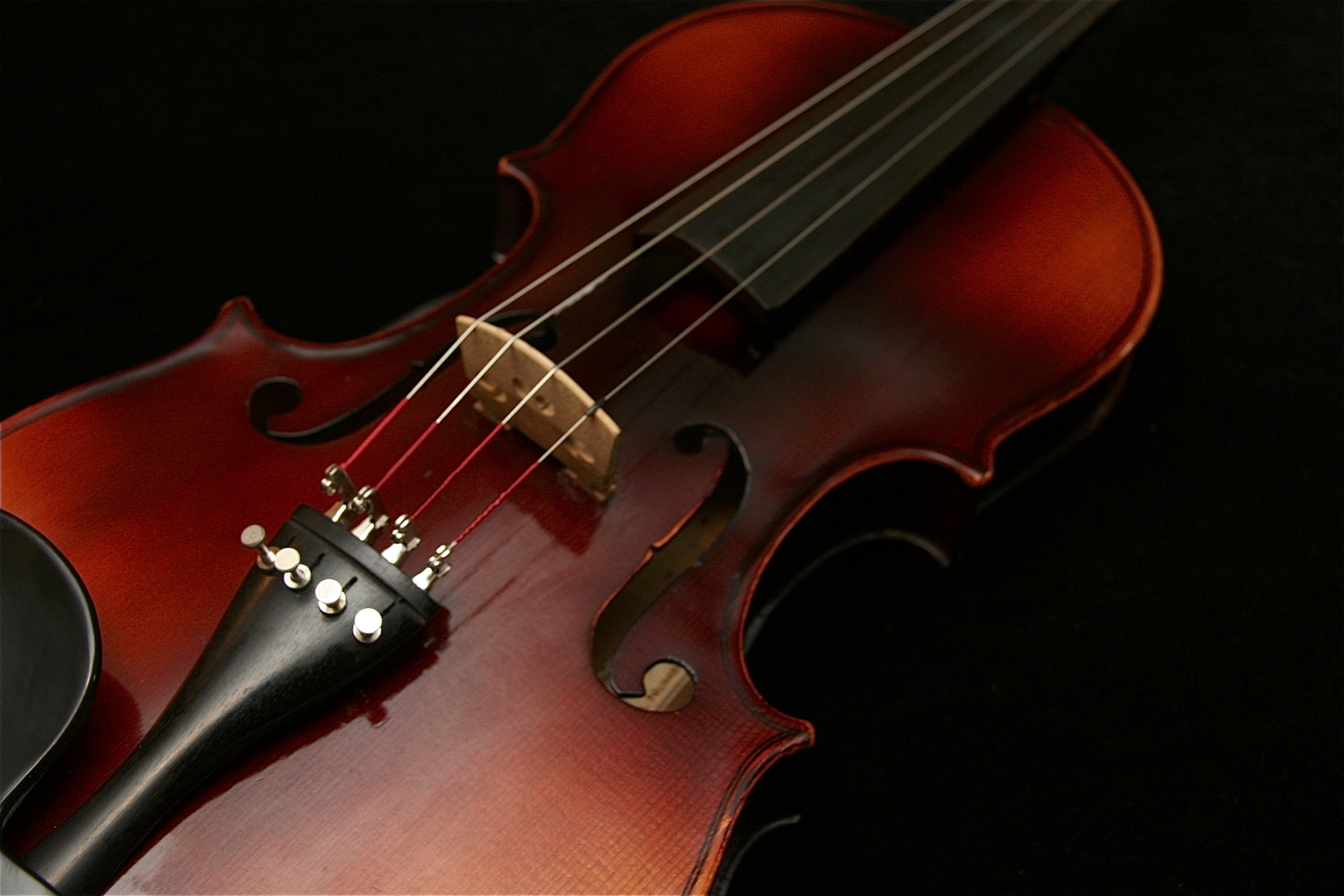 Viola rental, Approved instrument, Educator's choice, Rent, 2870x1920 HD Desktop