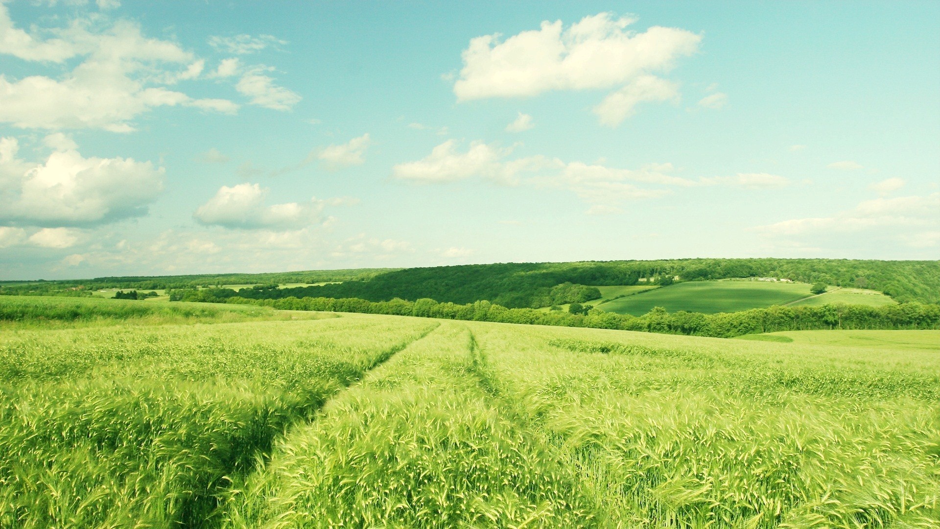 HD farm wallpaper, Countryside beauty, 1920x1080 Full HD Desktop