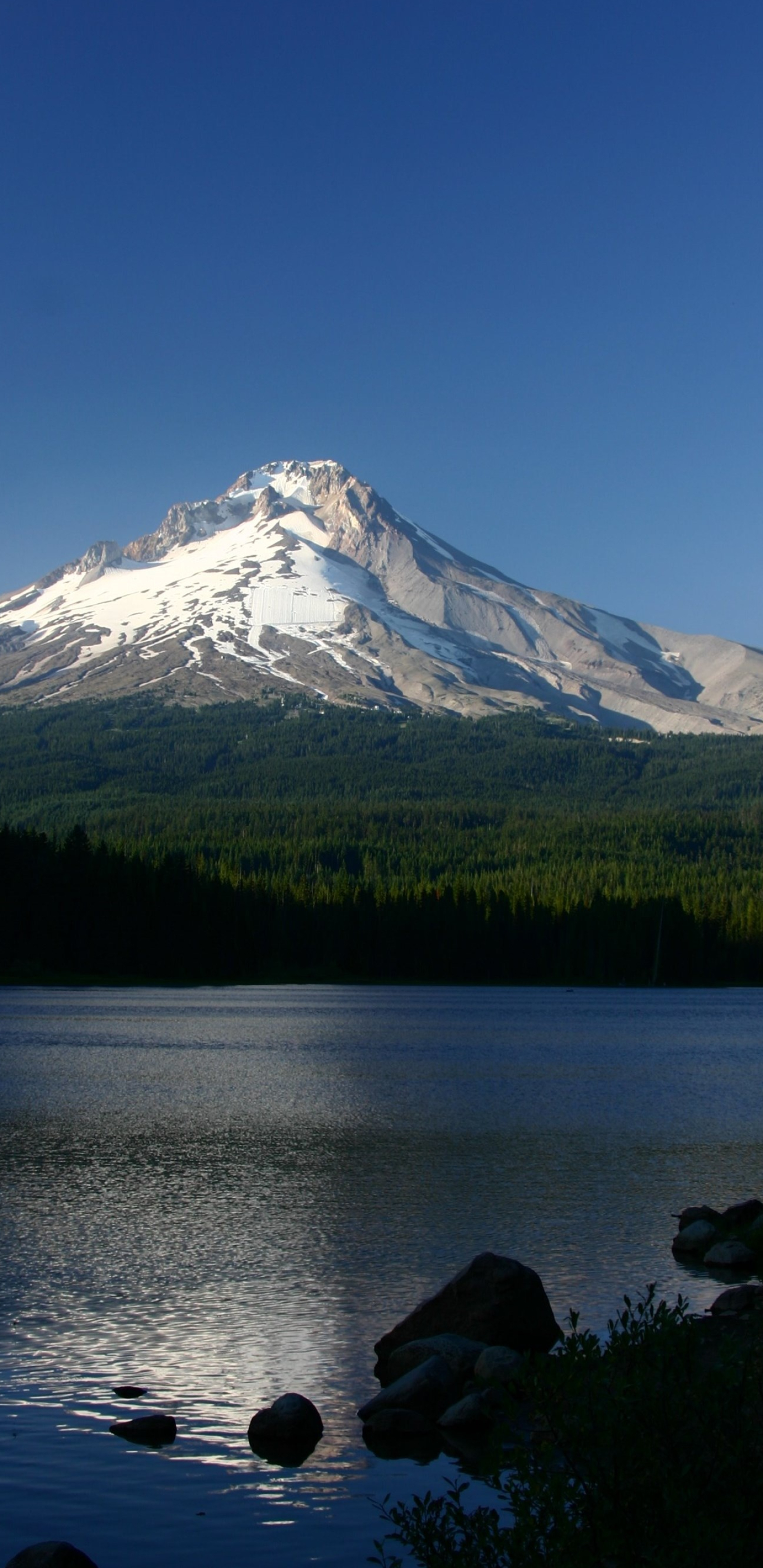 Mount Hood, Stunning wallpapers, Sarah Walker, 1440x2960 HD Phone