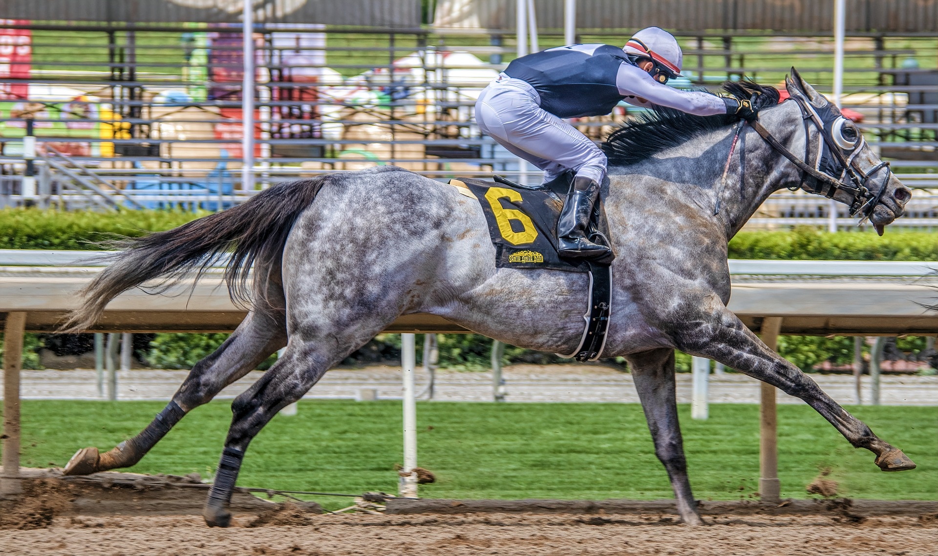 Horse racing event, Prominent jockey, Equestrian competition, Racecourse excitement, 1920x1140 HD Desktop