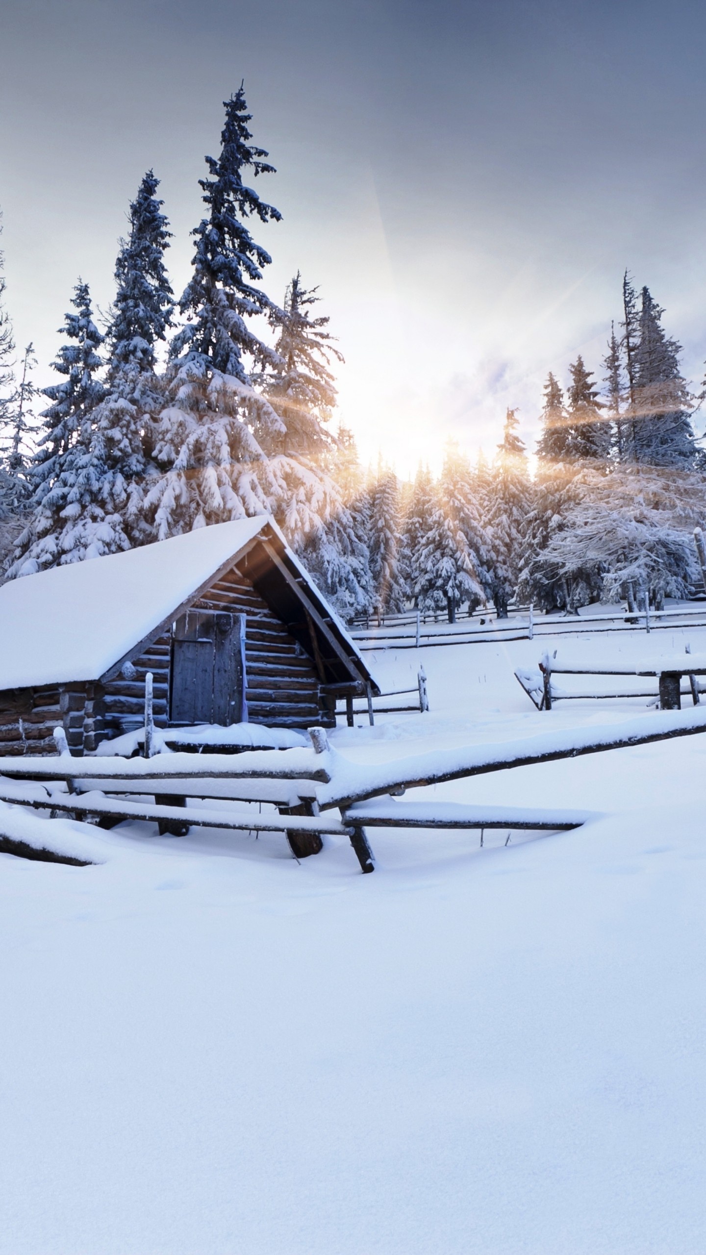 Winter forest wallpaper, Mountain, Snow, Village, Nature, 1440x2560 HD Phone