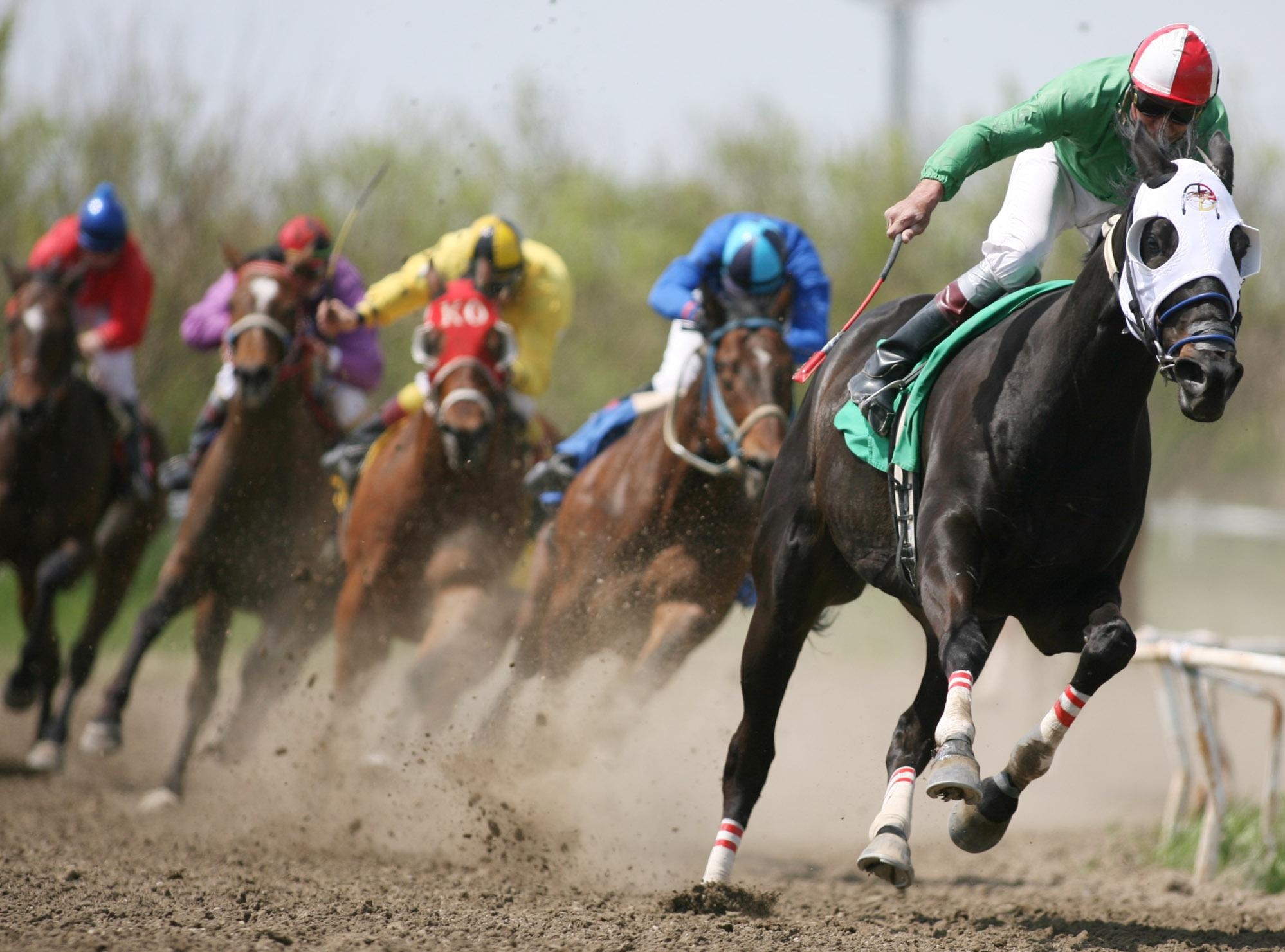 Racehorse wallpapers, Speed and power, Thoroughbred champion, Equine beauty, 2000x1490 HD Desktop