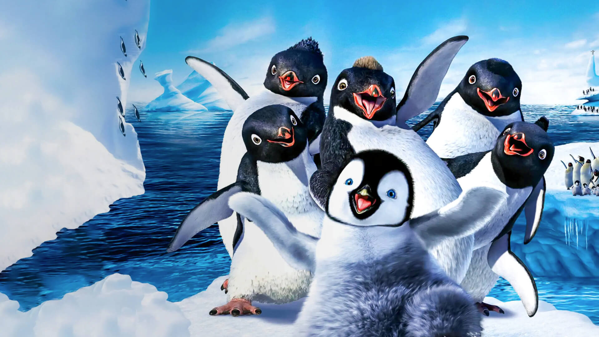 Maxima climate change film, Penguin conservation, Environmental awareness, 1920x1080 Full HD Desktop