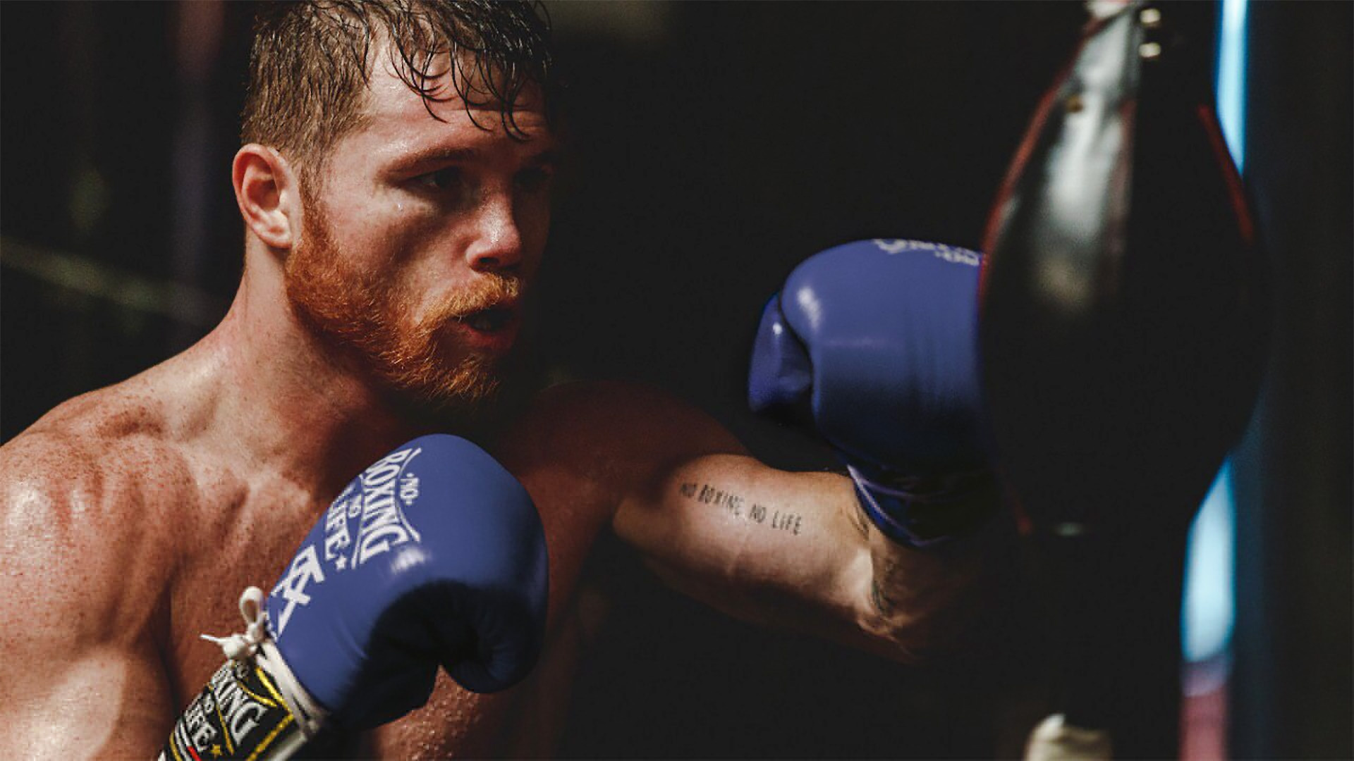 Canelo Alvarez, Unpredictable tactics, Boxing threat, Next opponent, 1920x1080 Full HD Desktop