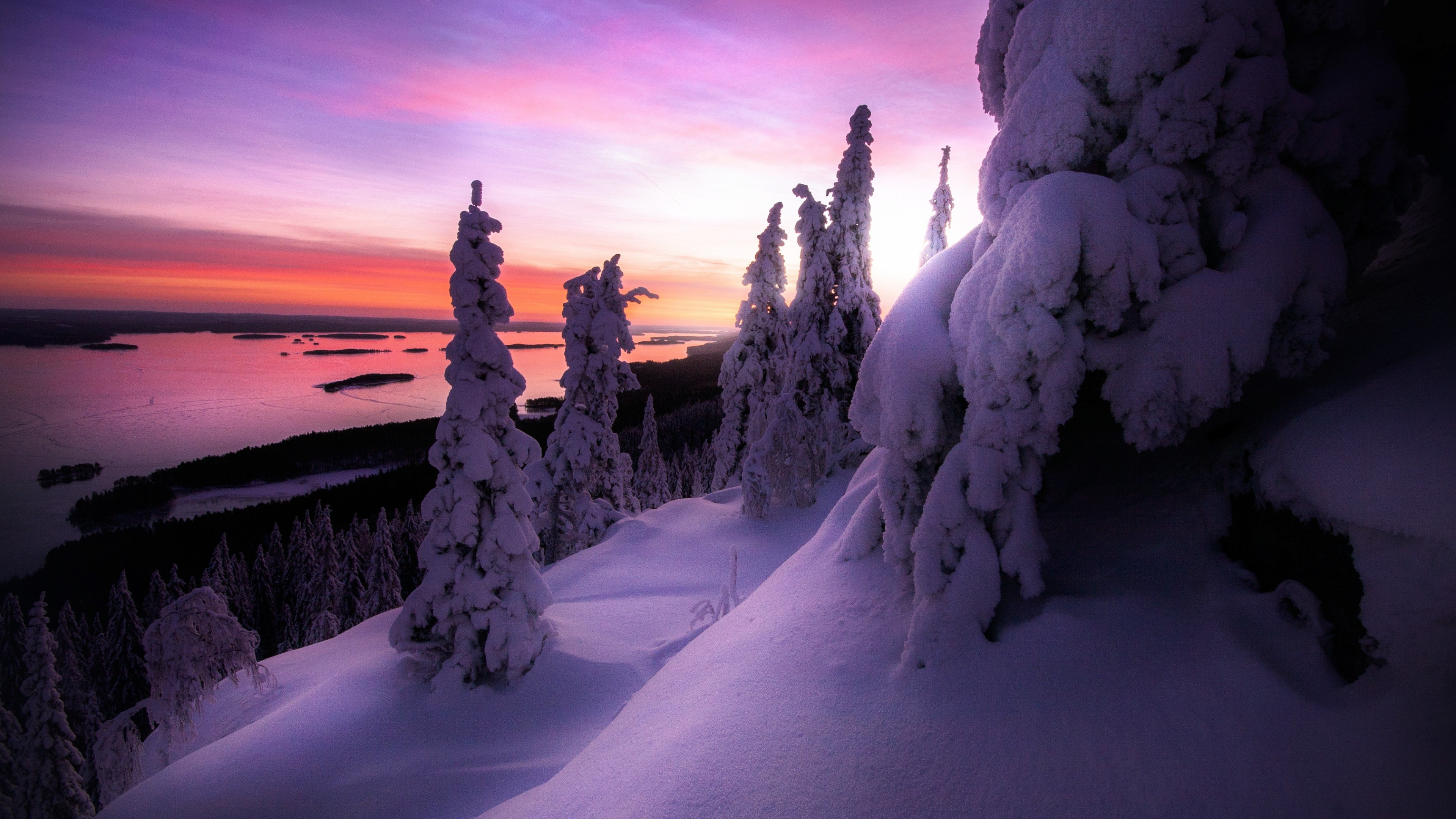 Koli National Park, Finland Wallpaper, 3840x2160 4K Desktop