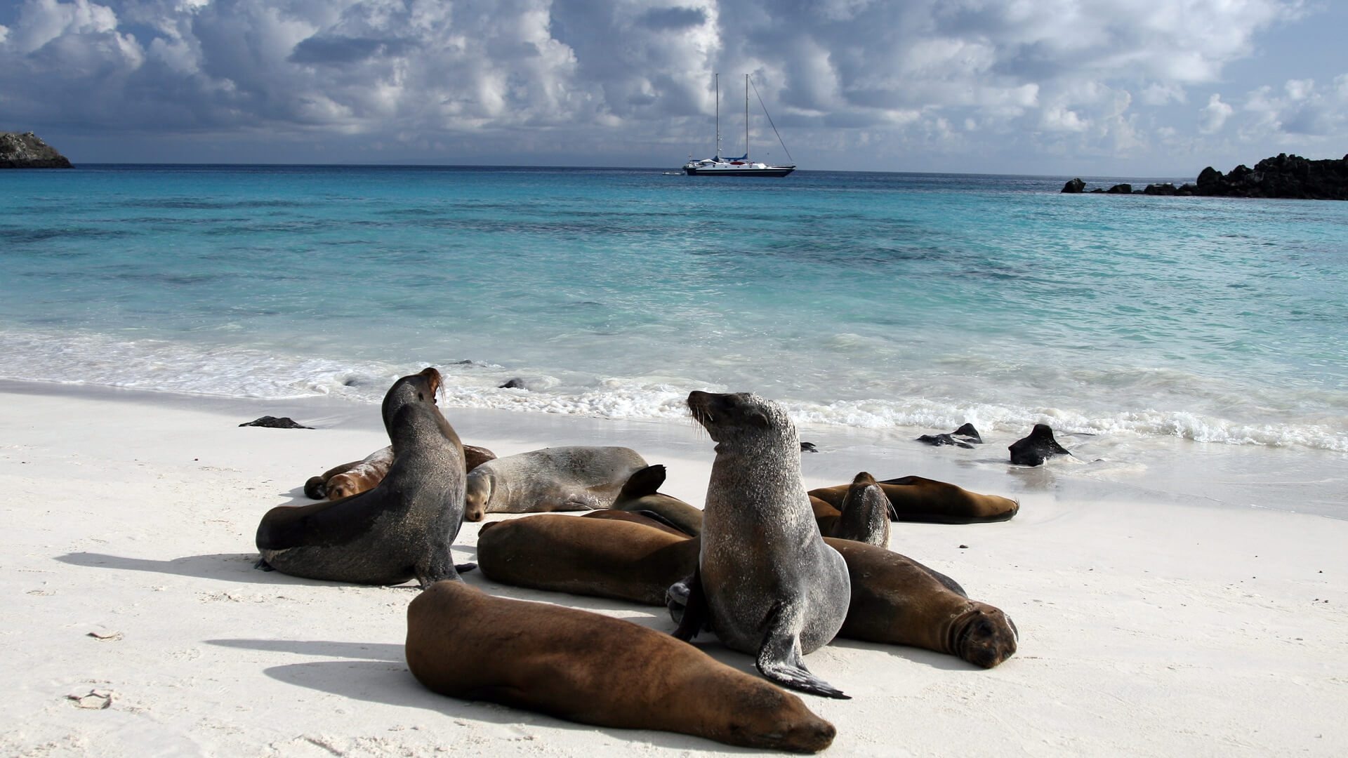 Galapagos Islands, Travel destination, FAQ, Andbeyond, 1920x1080 Full HD Desktop