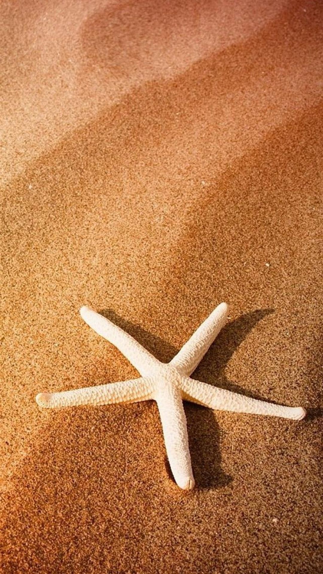 Starfish beach iPhone wallpapers, Oceanic phone backgrounds, Tropical marine aesthetics, Beach vacation vibes, 1080x1920 Full HD Phone