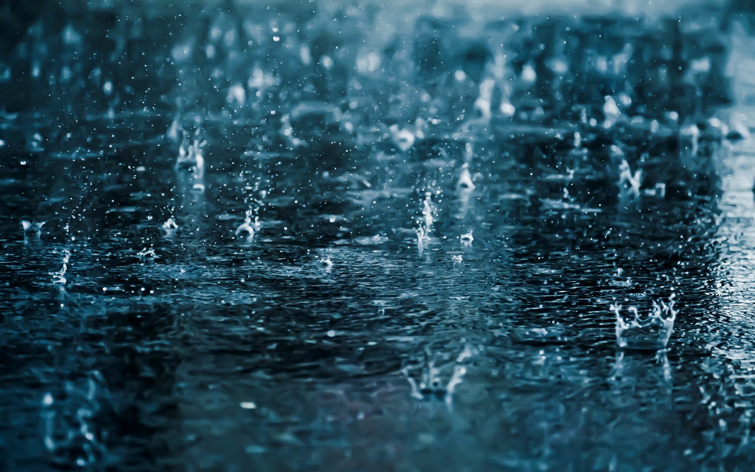 Splash, Rain Wallpaper, 2560x1600 HD Desktop