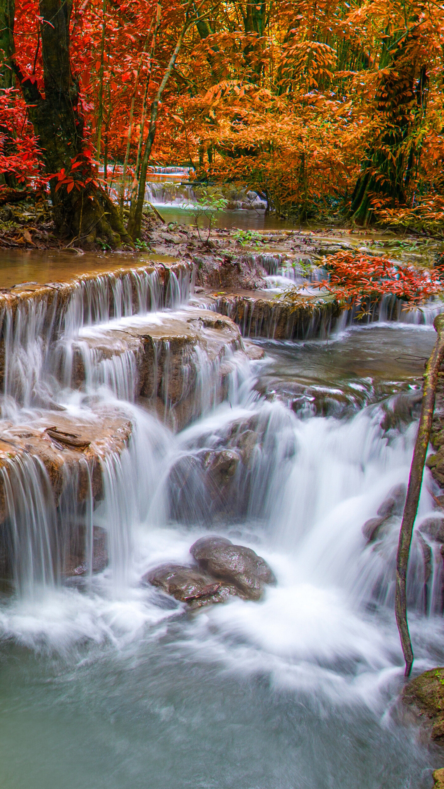 Waterfall, Cascading waters, Natural wonder, Tranquil oasis, 1440x2560 HD Phone