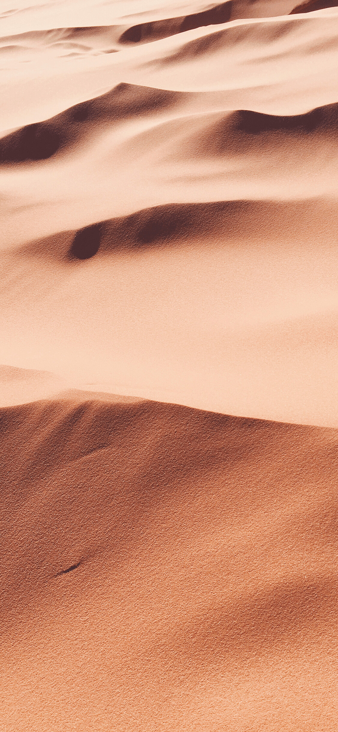 Desert wallpaper for iPhone, High-resolution beauty, Phone's oasis, Endless enchantment, 1130x2440 HD Phone