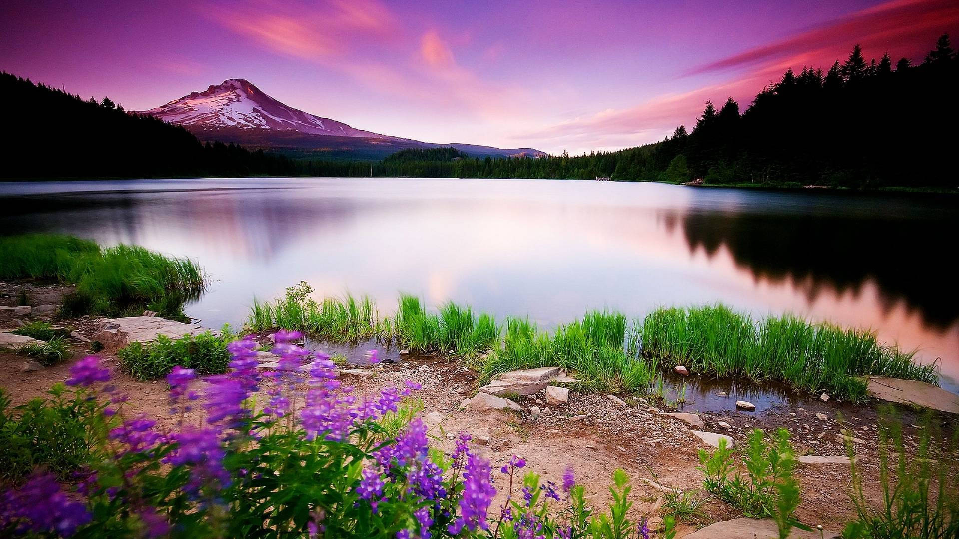 Lake, Beautiful Backgrounds Wallpaper, 1920x1080 Full HD Desktop