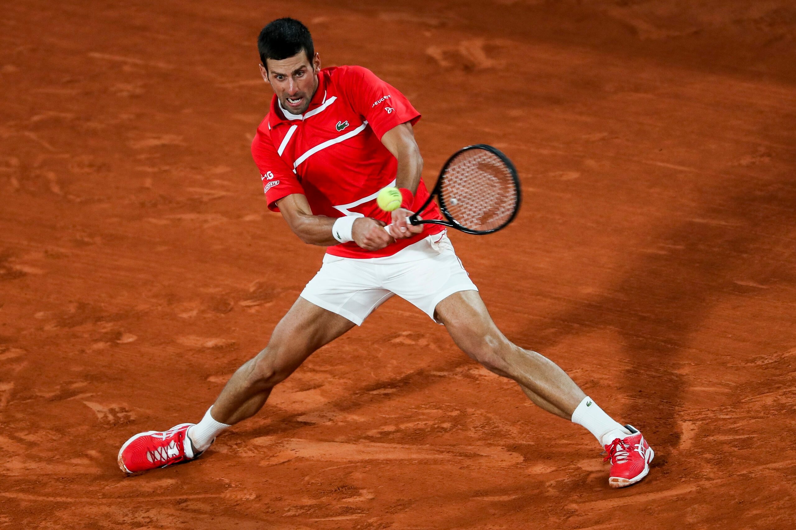 French Open, Roland-Garros, Novak Djokovic, Monte Carlo, 2560x1710 HD Desktop