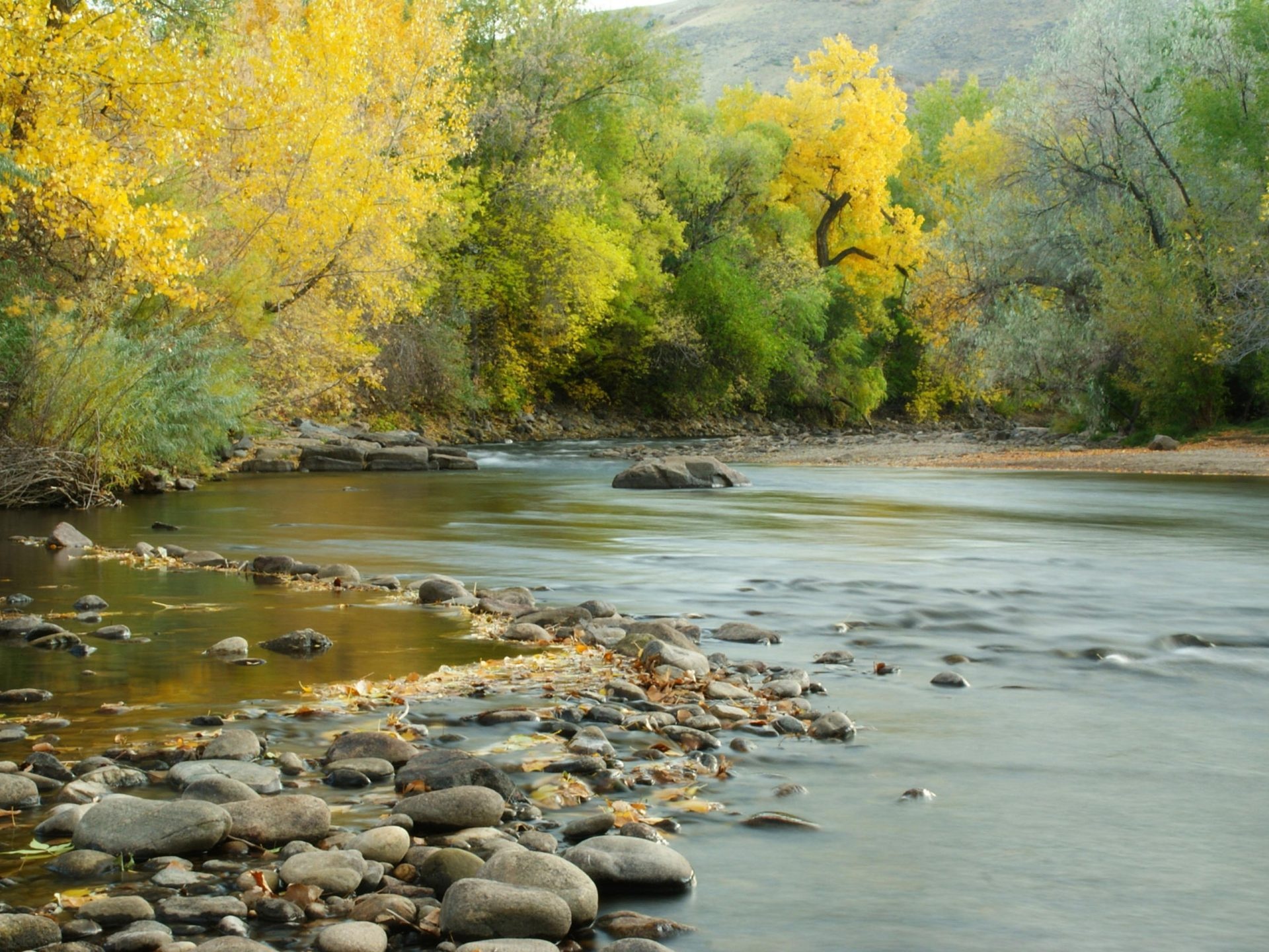 Fall colors, Clear Creek, South Platte River, Colorado landscapes, 1920x1440 HD Desktop