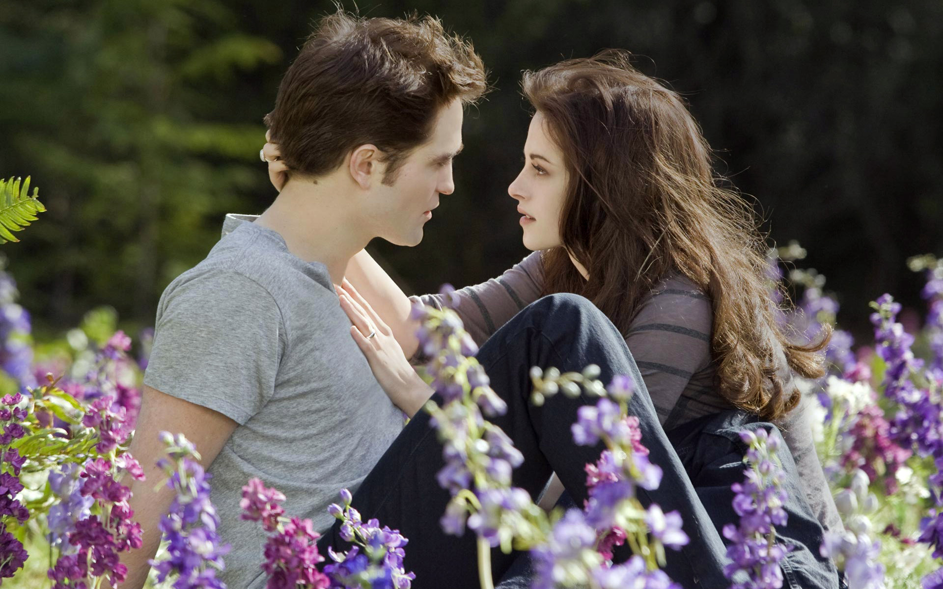 Edward, bella twilight serie, hintergrund, fanpop, 1920x1200 HD Desktop