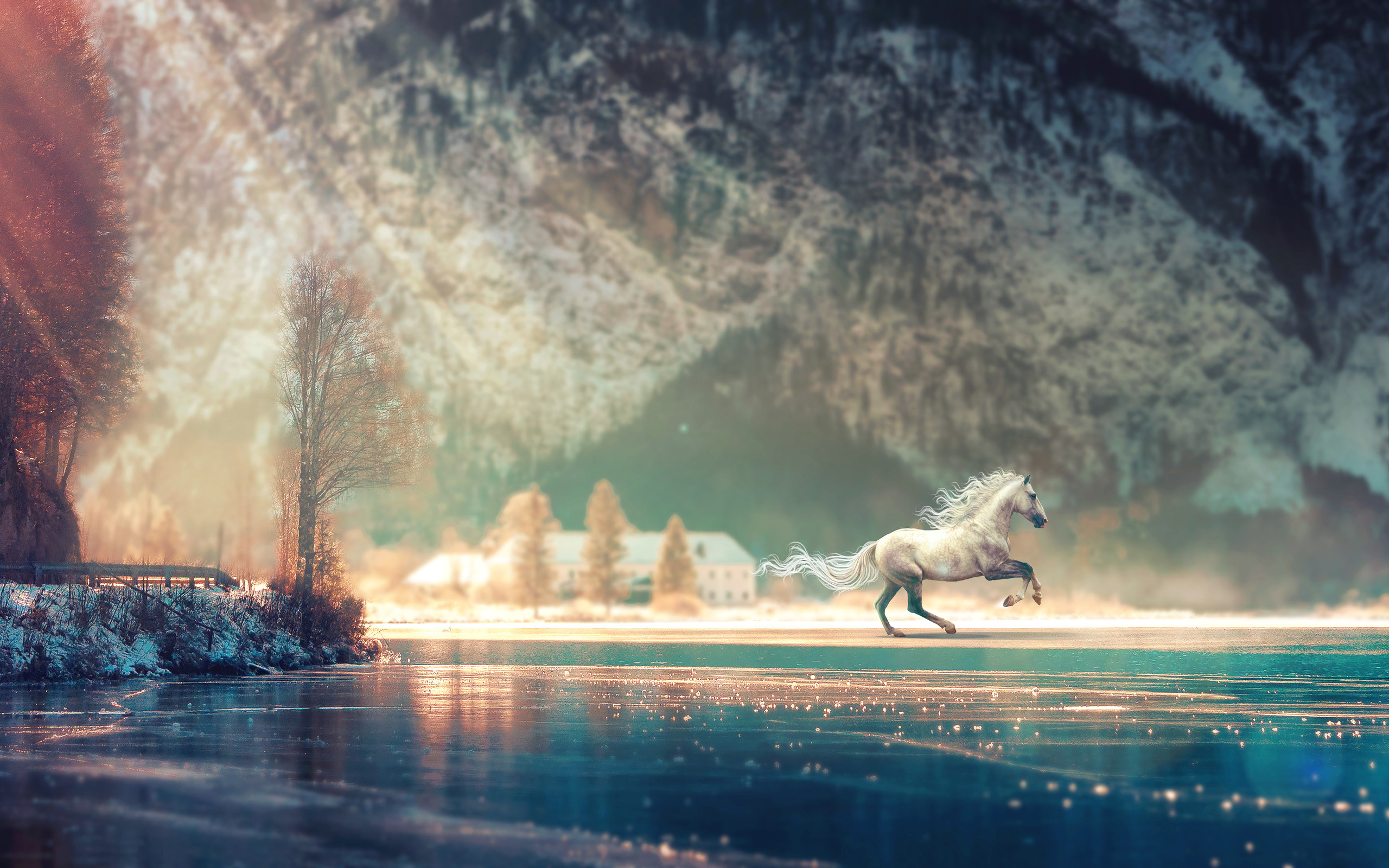 Horse running fantasy, 4K resolution, HD wallpapers, Images, 2560x1600 HD Desktop