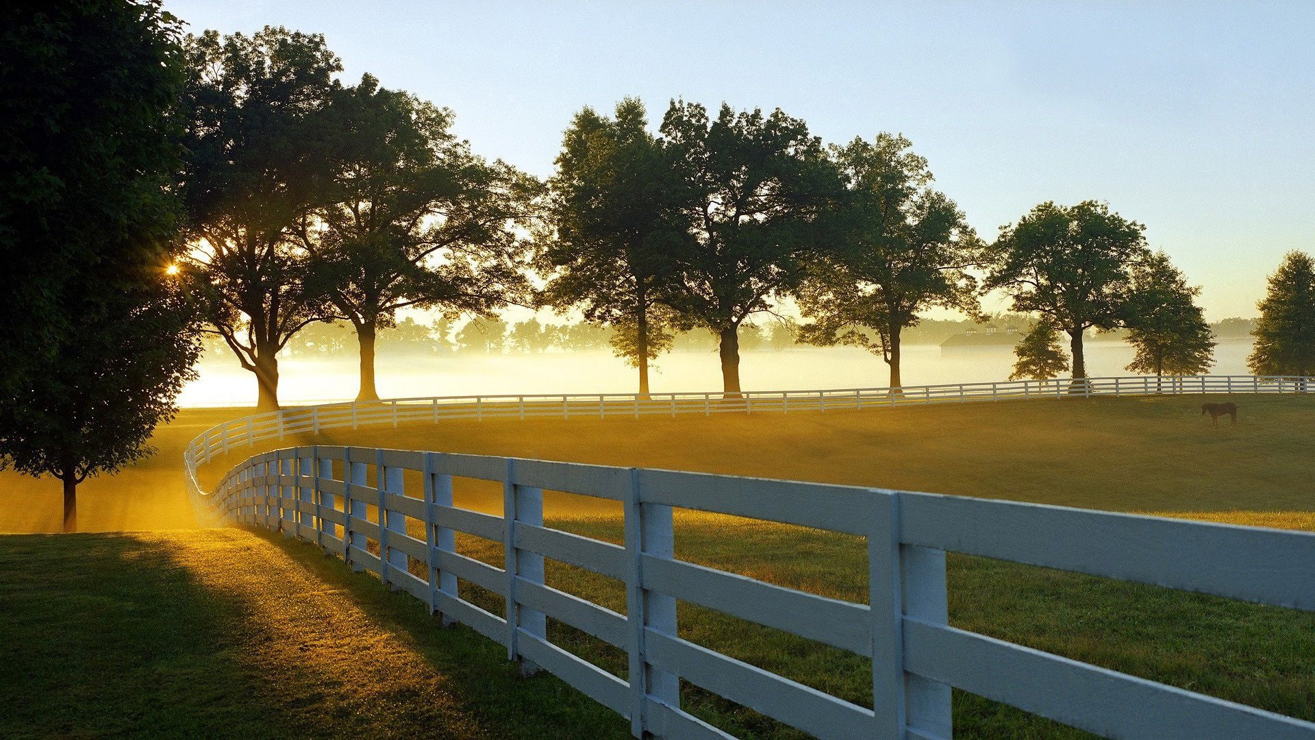 Paddock, Farms Wallpaper, 1920x1080 Full HD Desktop