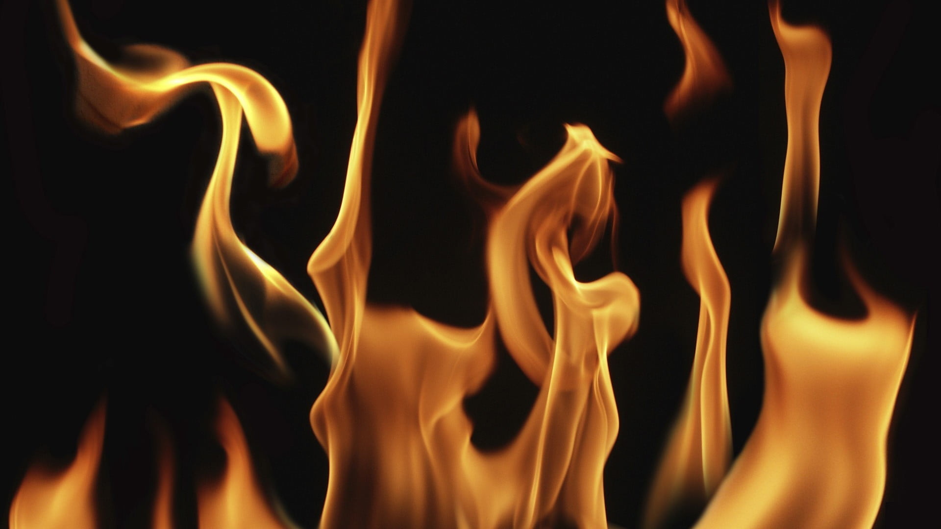 Close-up, Flame Wallpaper, 1920x1080 Full HD Desktop