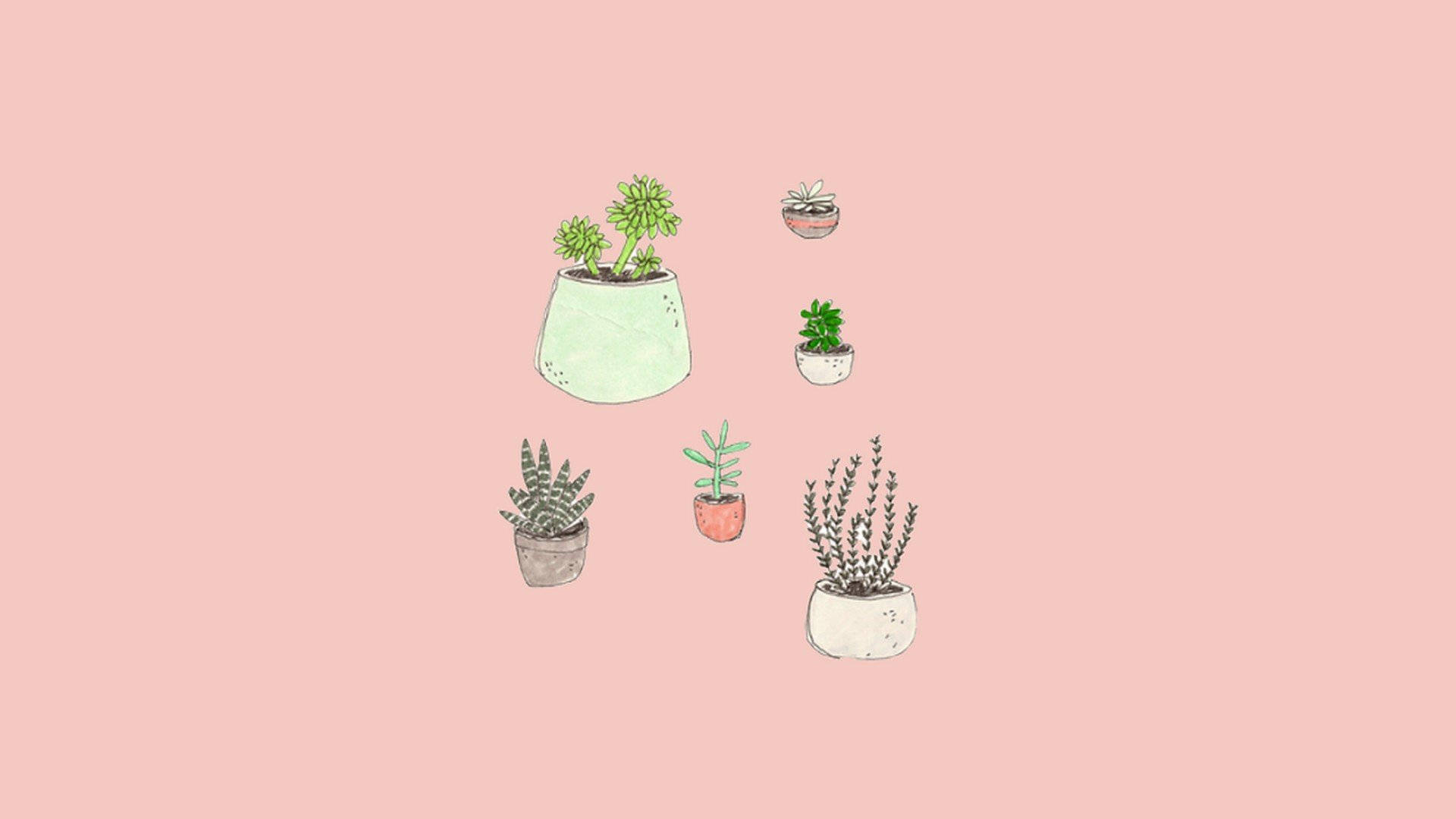 Plants, Cute Pink Wallpaper, 1920x1080 Full HD Desktop