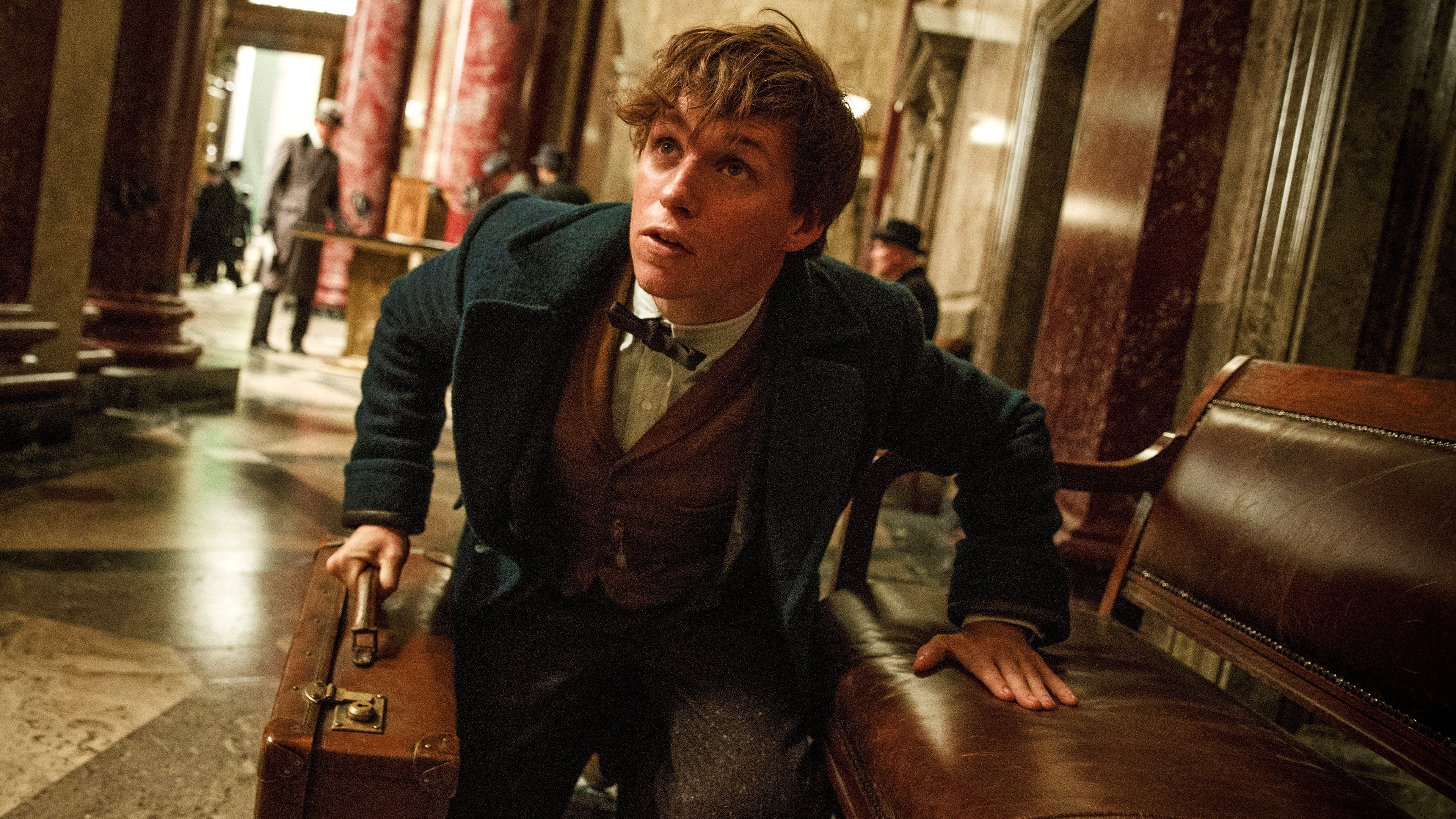 David Yates, Fantastic Beasts, J.K. Rowling, Eddie Redmayne, 3840x2160 4K Desktop