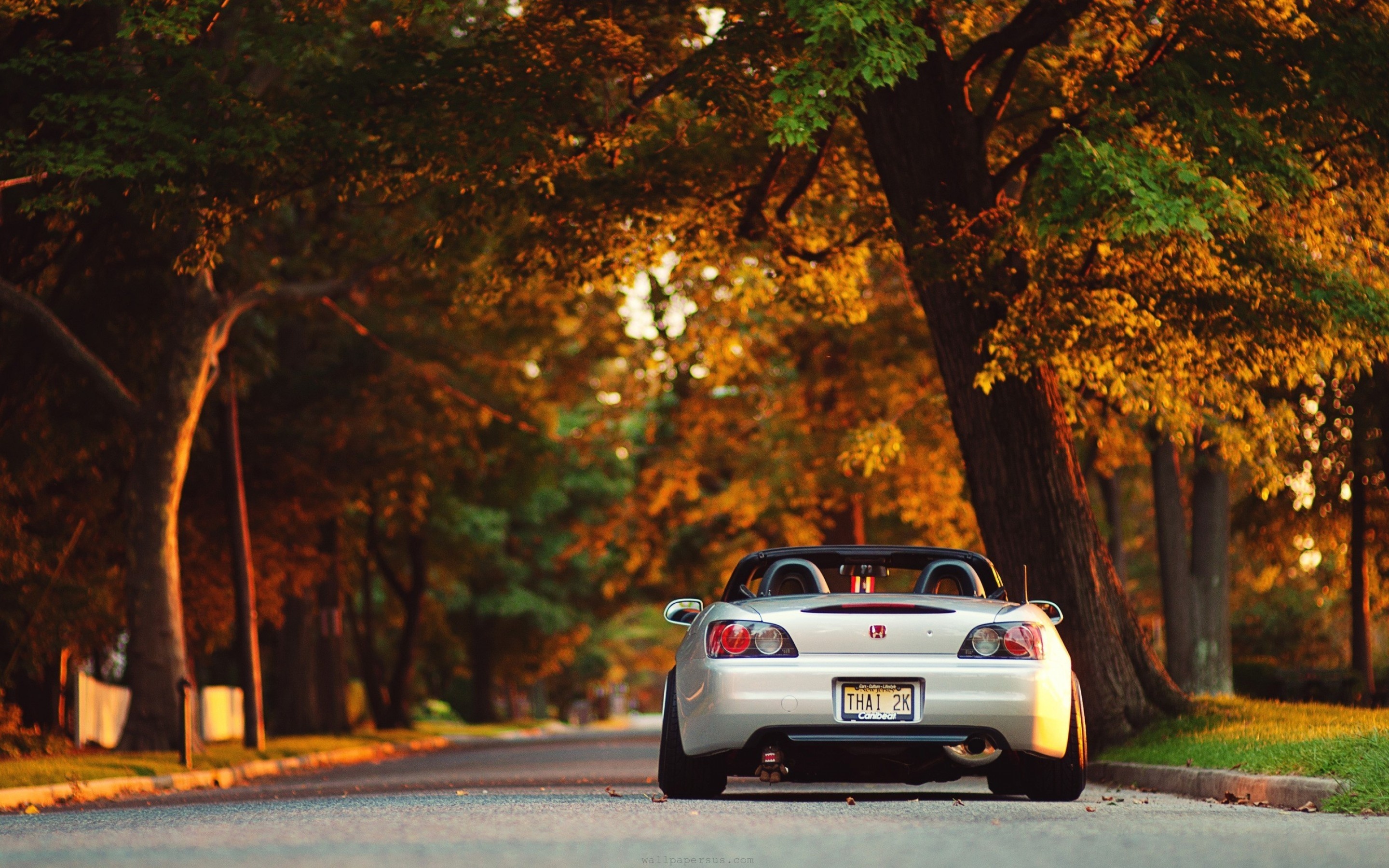 Stance Back View, Honda S2000 Wallpaper, 2880x1800 HD Desktop