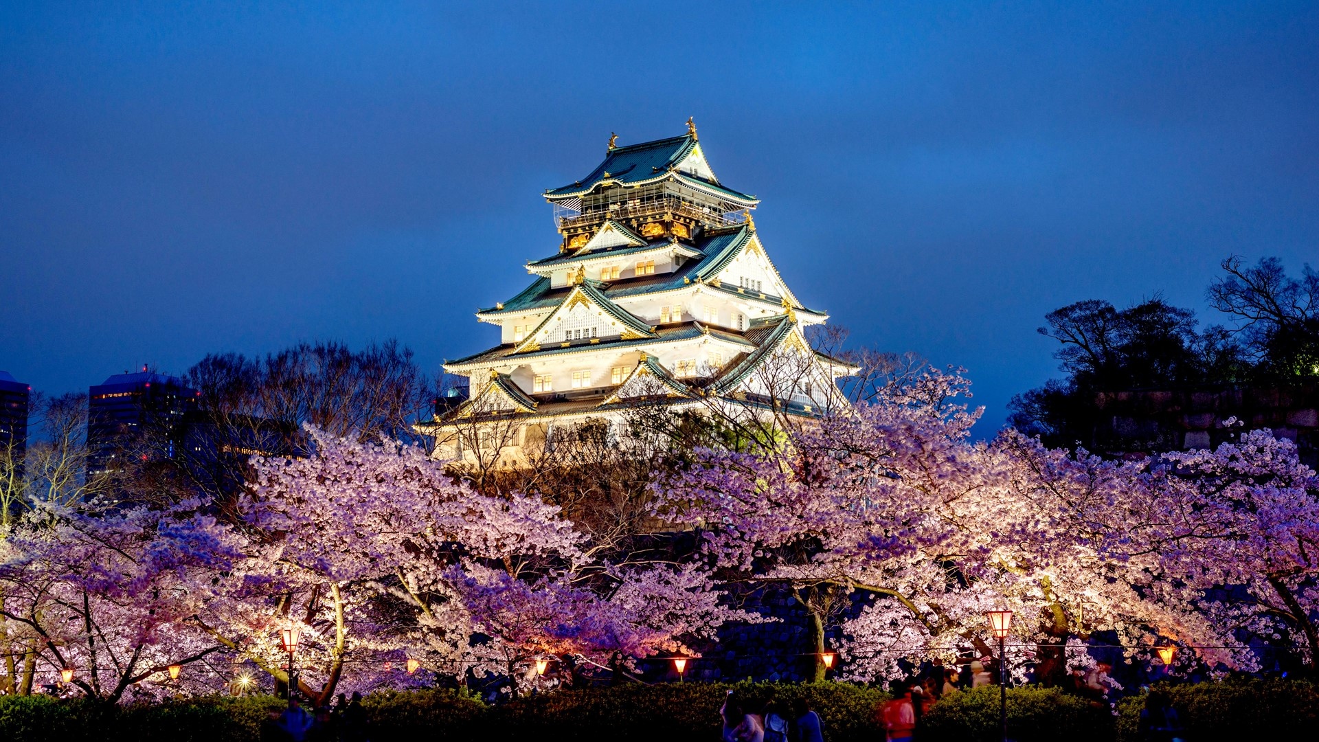 Osaka Castle, Travels, Autumnal beauty, Microsoft wallpaper, 1920x1080 Full HD Desktop