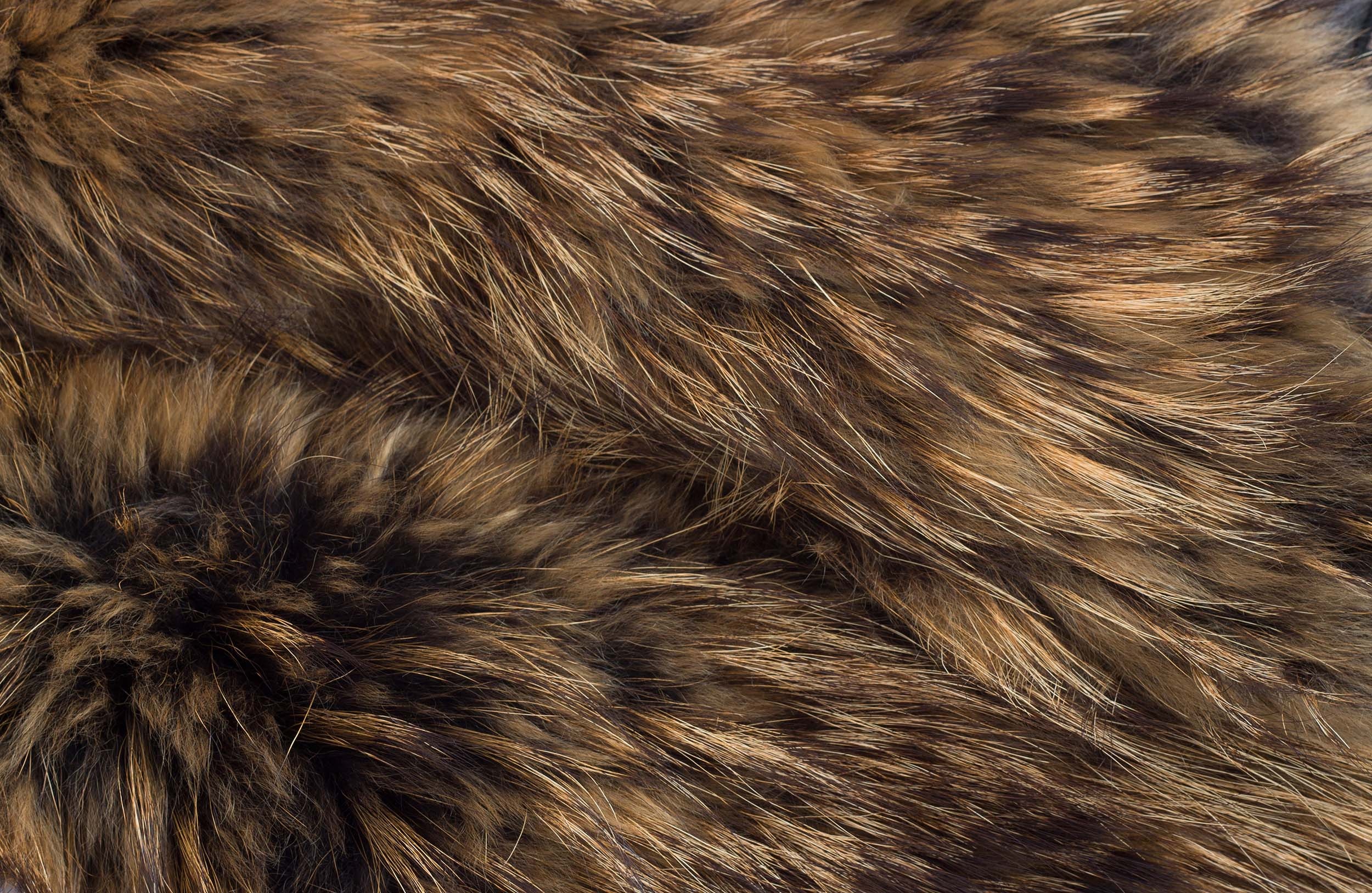 Fur artwork, Creative designs, Unique texture, Artistic background, 2500x1630 HD Desktop