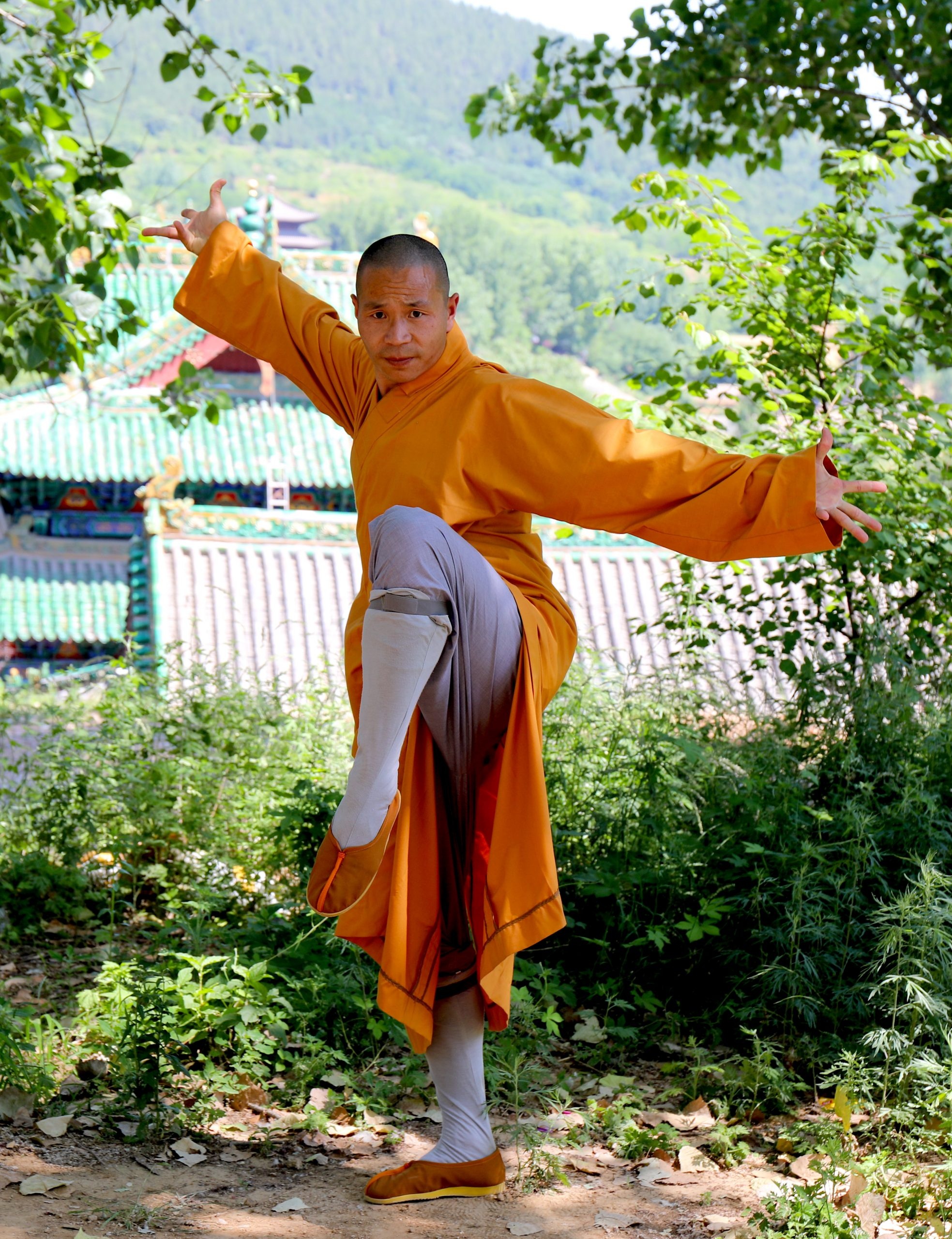 Shaolin images, Depicting ancient art, Meditative practice, Cultural significance, 1970x2560 HD Phone