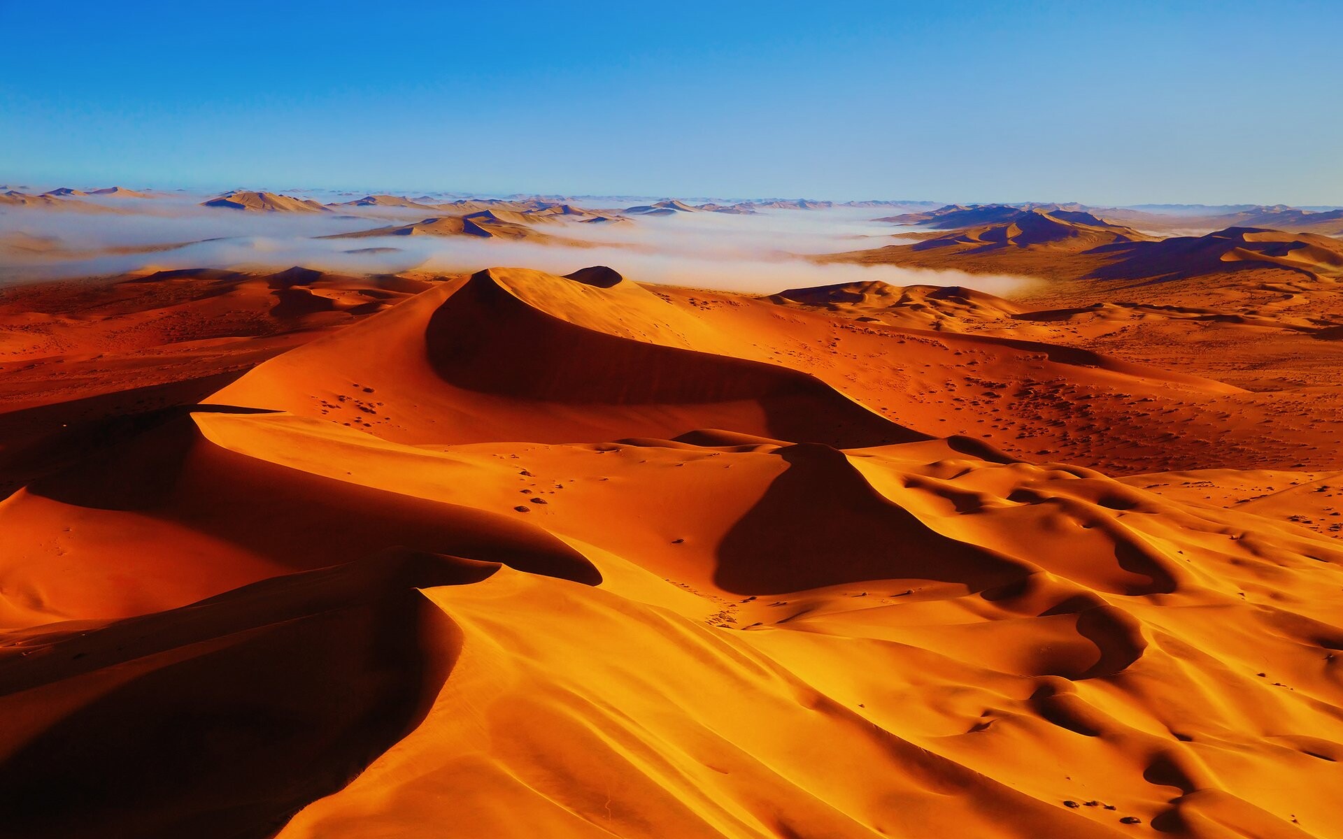 Desert dreams, Nature's canvas, Sandy expanse, Eternal silence, 1920x1200 HD Desktop