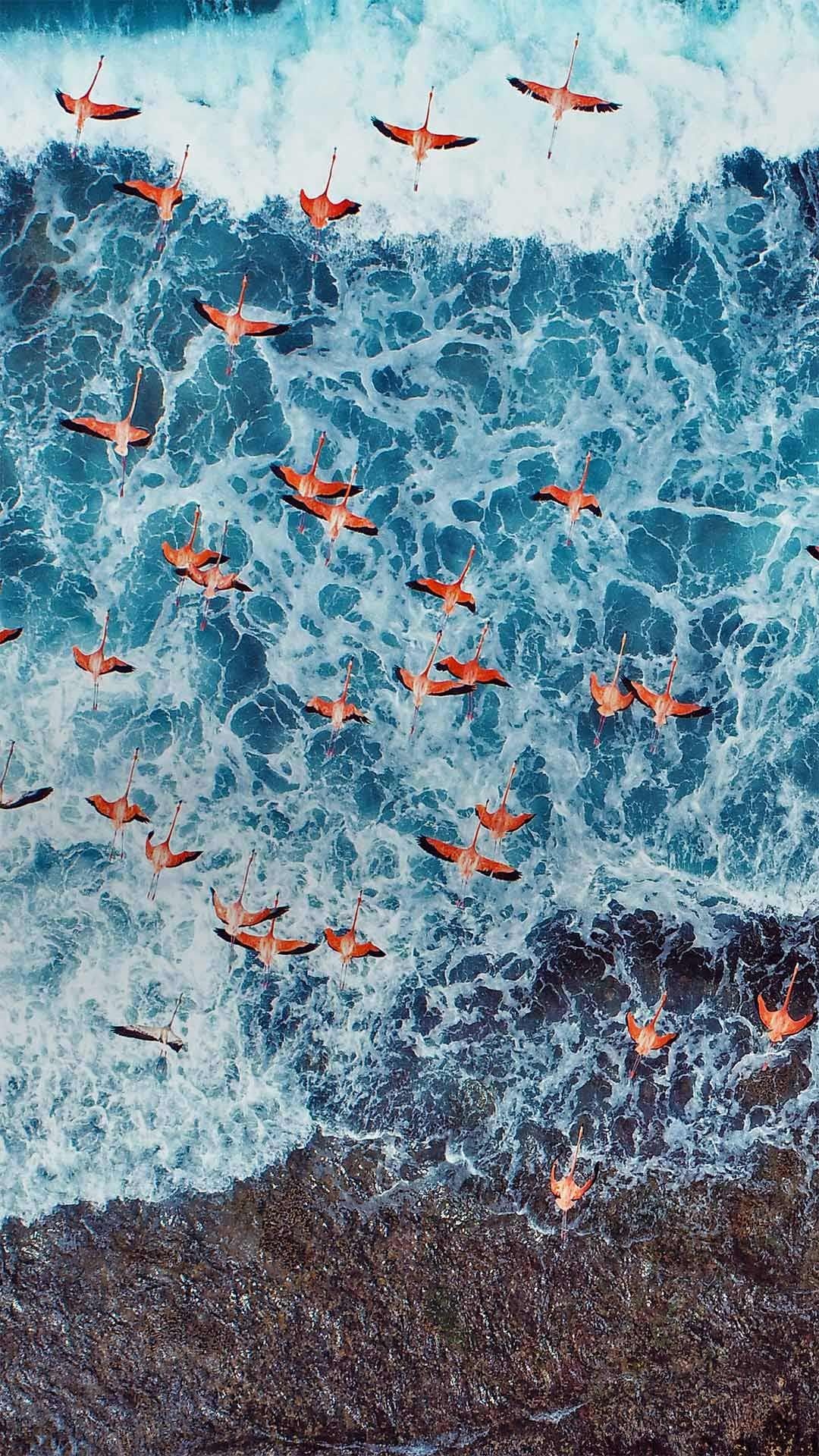 Venezuela, Aerial view, Los Roques Archipelago National Park, 1080x1920 Full HD Phone