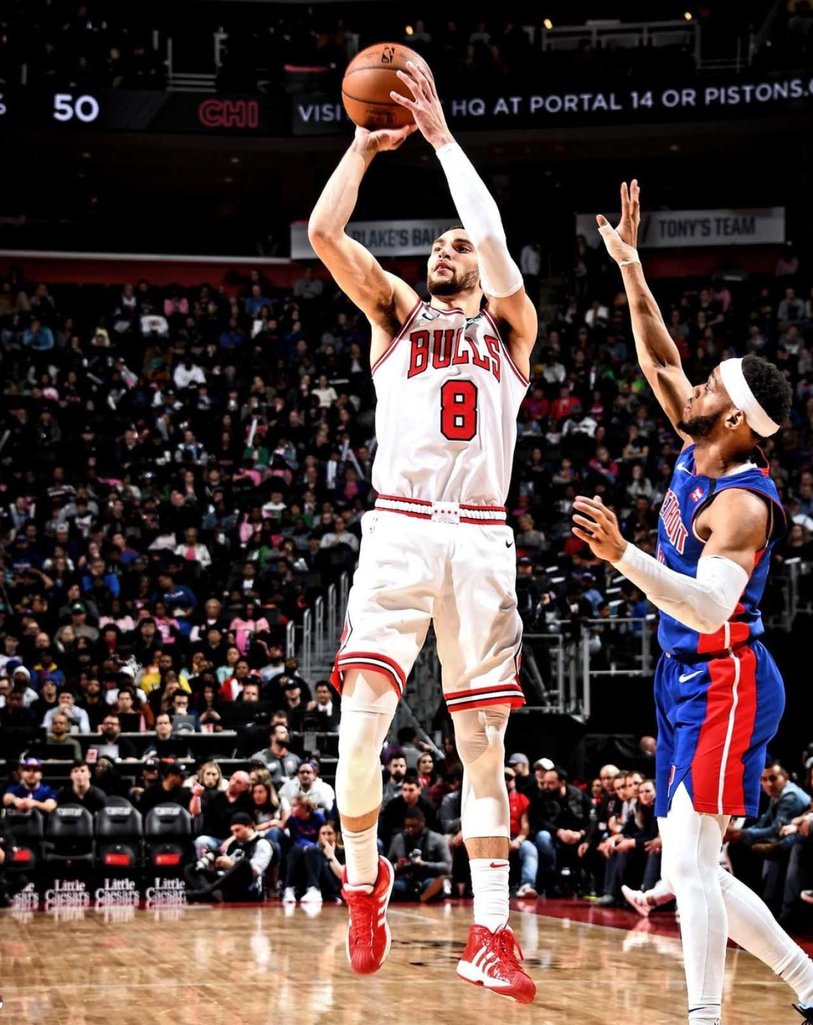 Zach LaVine, Chicago Bulls, Unsigned game winning shot, 1590x2000 HD Phone