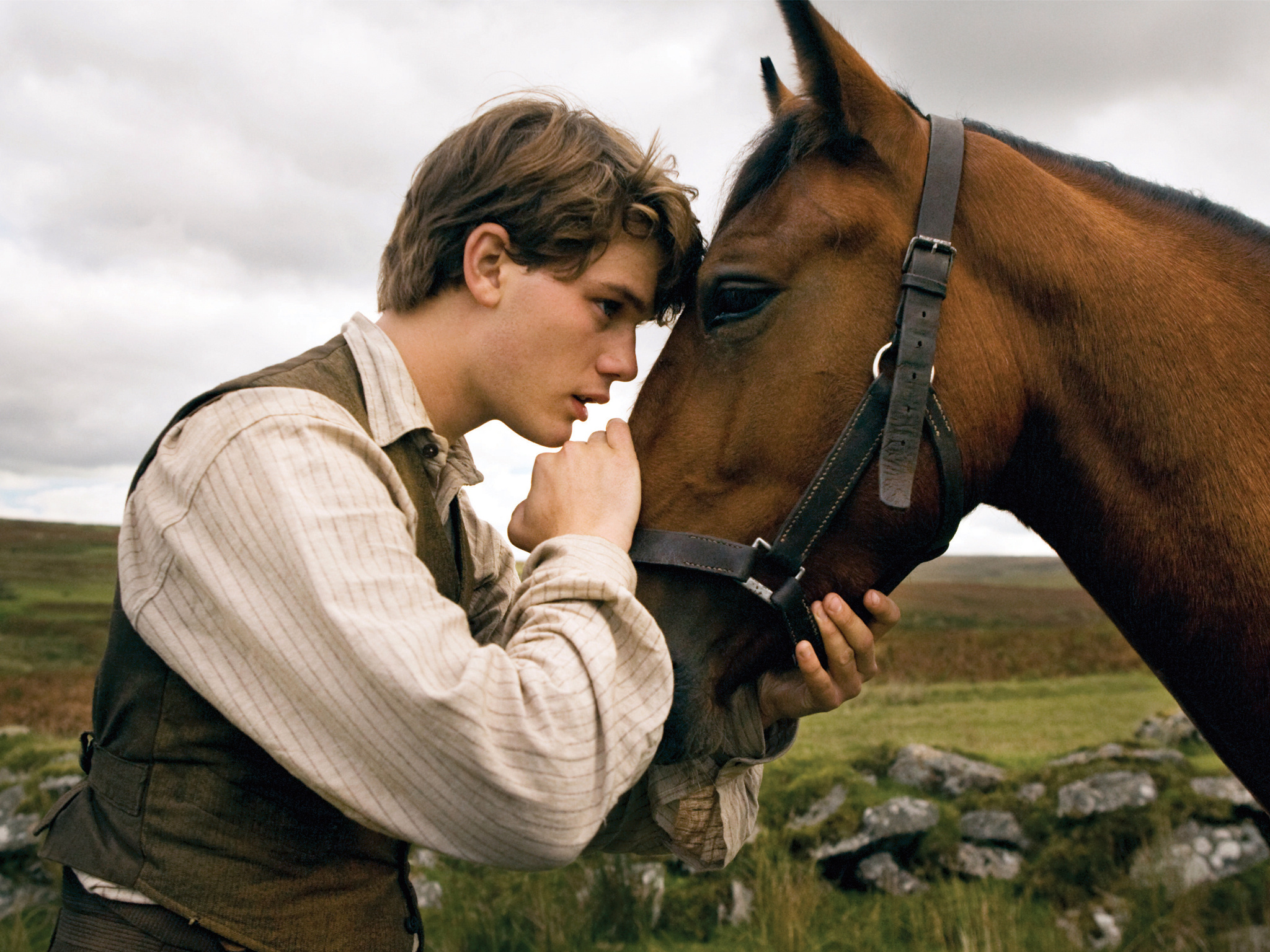 War Horse, Intense war scenes, Horse's perspective, Powerful storytelling, 2050x1540 HD Desktop