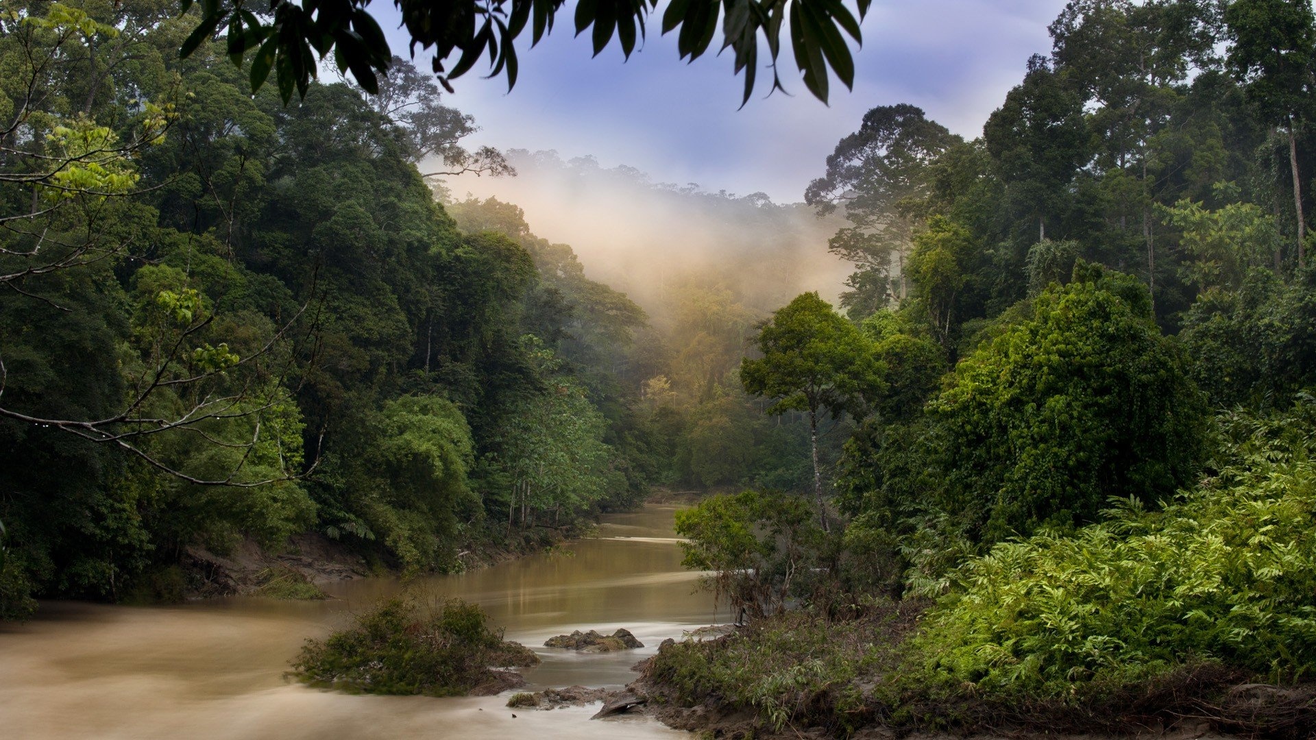 Taman Negara National Park, Malaysia Wallpaper, 1920x1080 Full HD Desktop