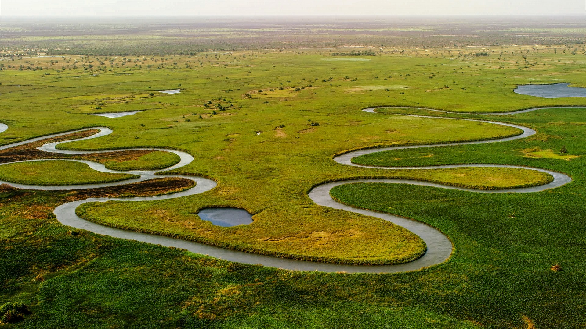 Botswana's wonders, Anastasia's Africa, Breathtaking visuals, Inspiring wallpaper, 1920x1080 Full HD Desktop