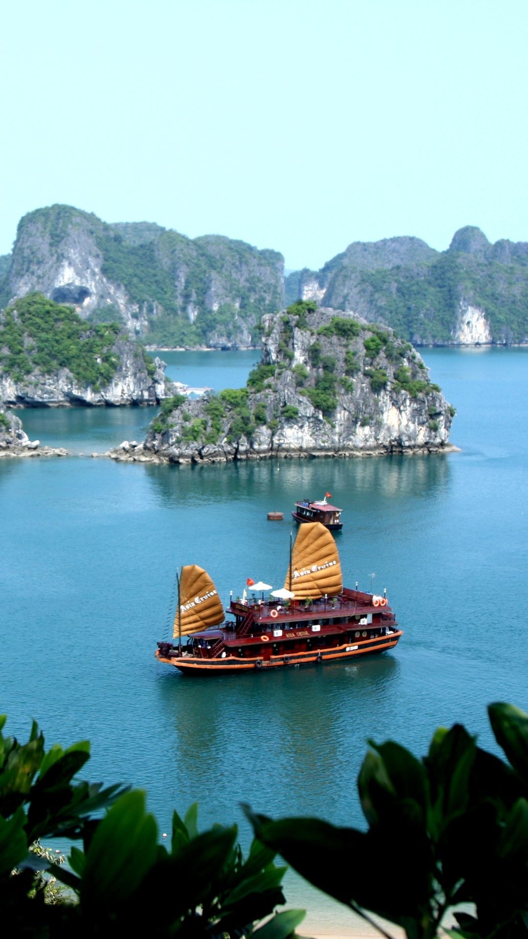 Halong Bay, Tropical paradise, Lush palm trees, Exotic travel, 1080x1920 Full HD Phone