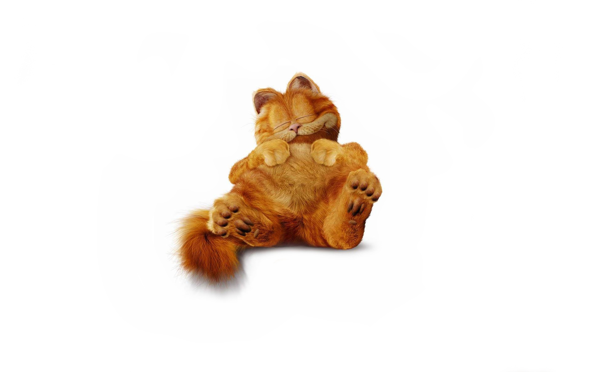 Garfield, Garfield the cat, Cat-themed wallpaper, 1920x1200 HD Desktop