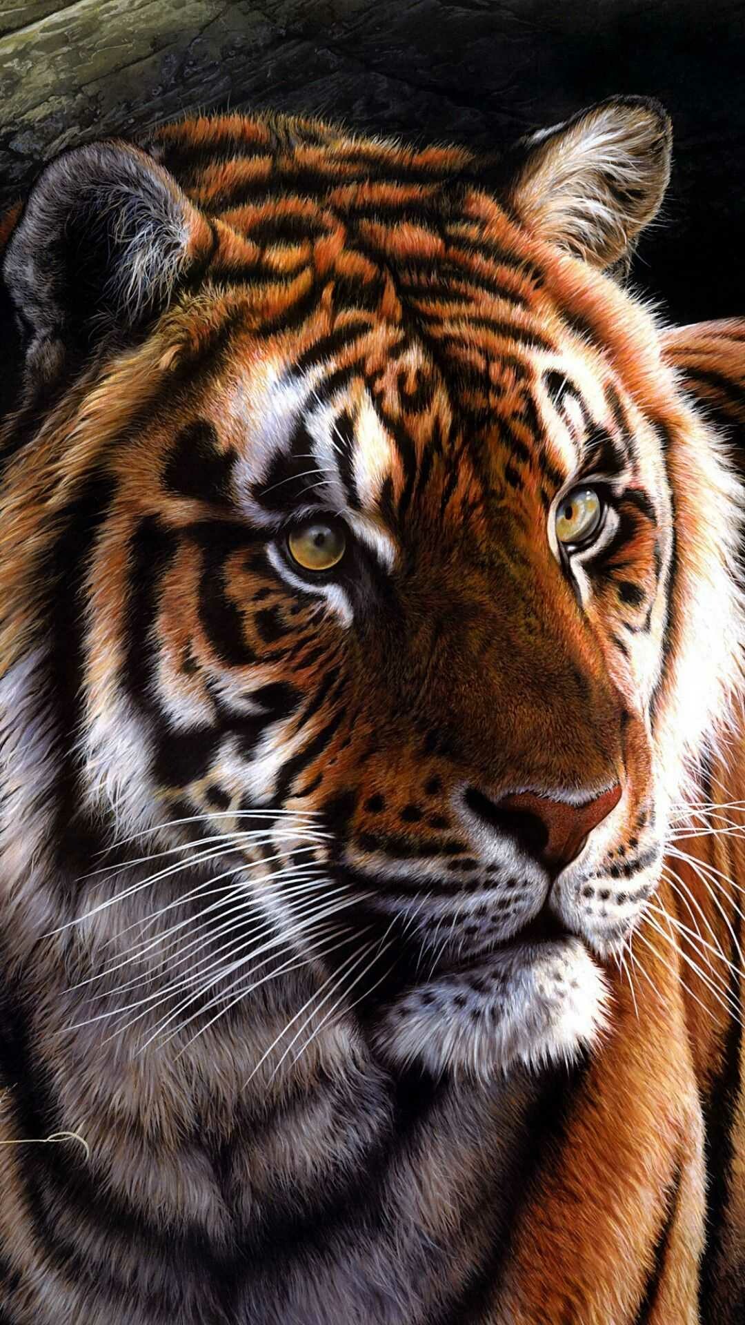 Mesmerizing tiger patterns, Elegance in the wild, 1080x1920 Full HD Phone