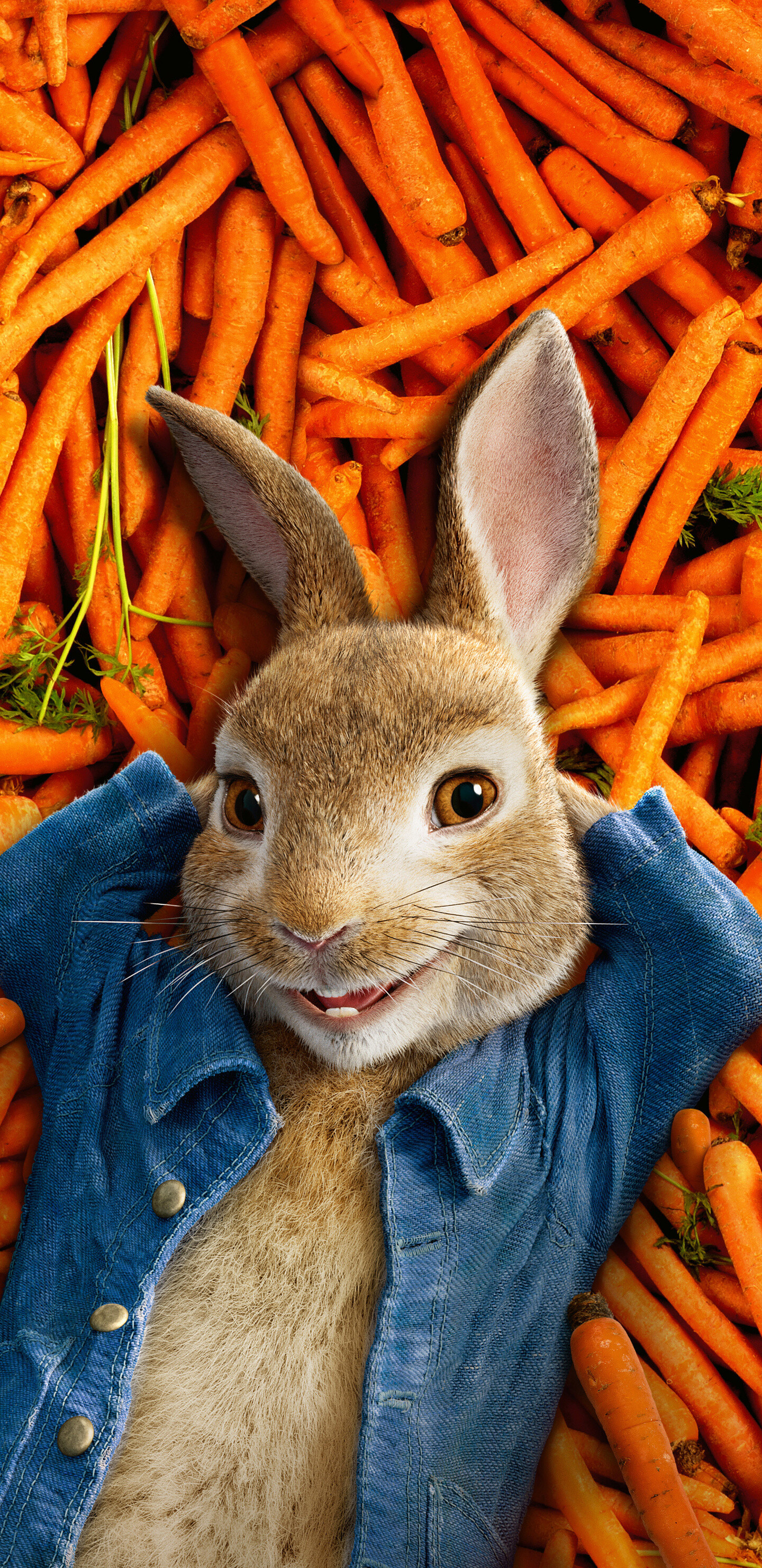 Peter Rabbit 2018 movie wallpaper, 4K Galaxy wallpapers, Vibrant colors, Movie magic, 1440x2960 HD Phone