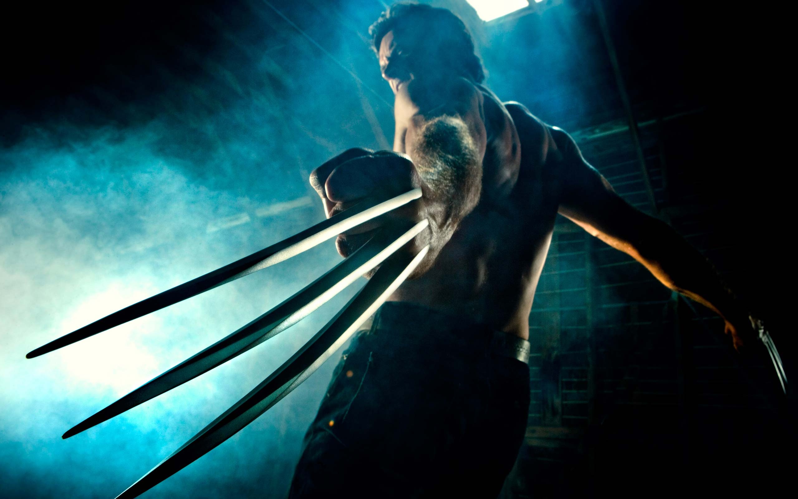 Wolverine 3, Quirkybyte, 2560x1600 HD Desktop