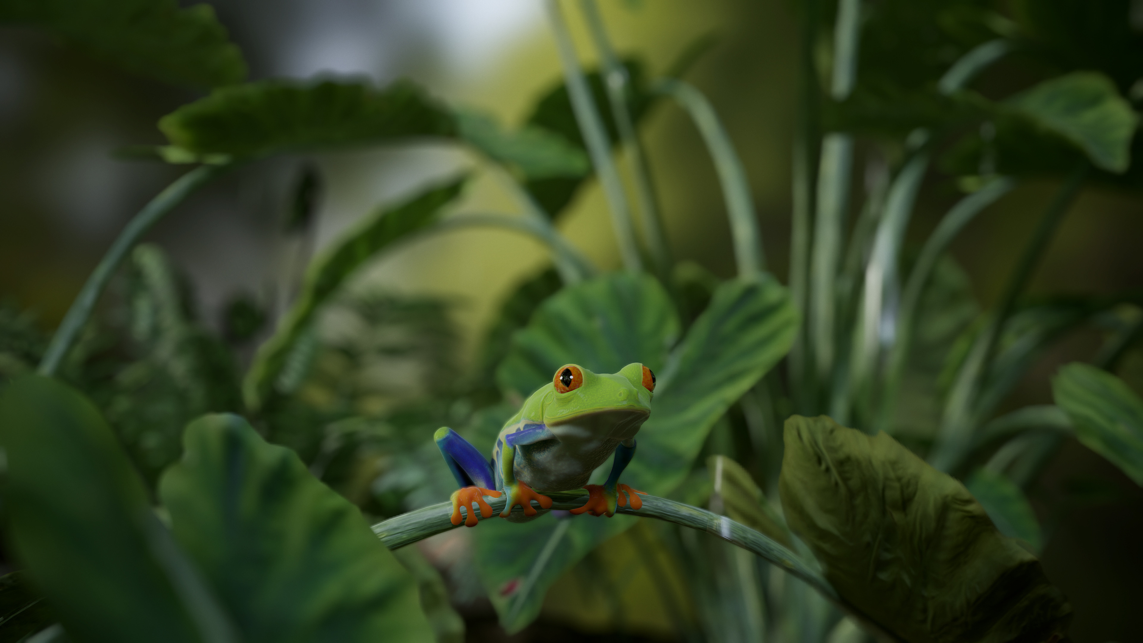 Artstation's wonders, Red Eye Tree Frog, CG artists' prowess, Creative amphibian, 3840x2160 4K Desktop