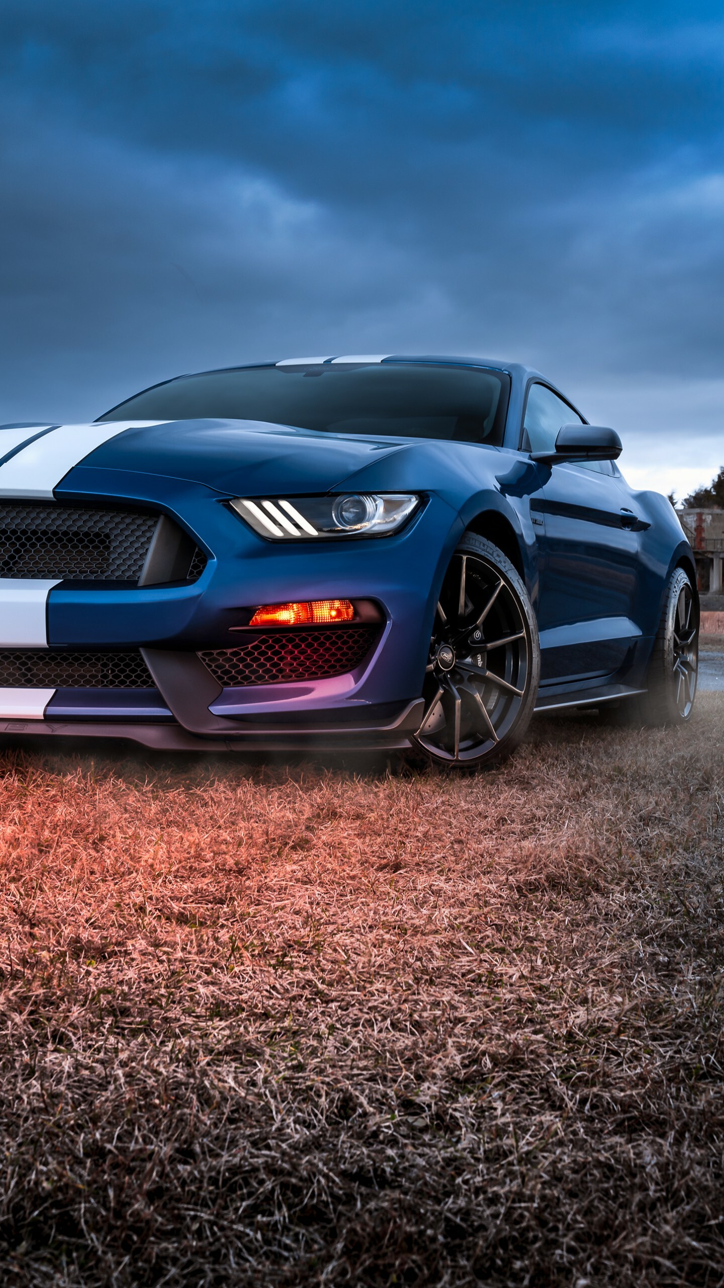 2020 Ford Mustang GT500, iPhone wallpapers, Ultimate performance, Unmatched speed, 1440x2560 HD Phone