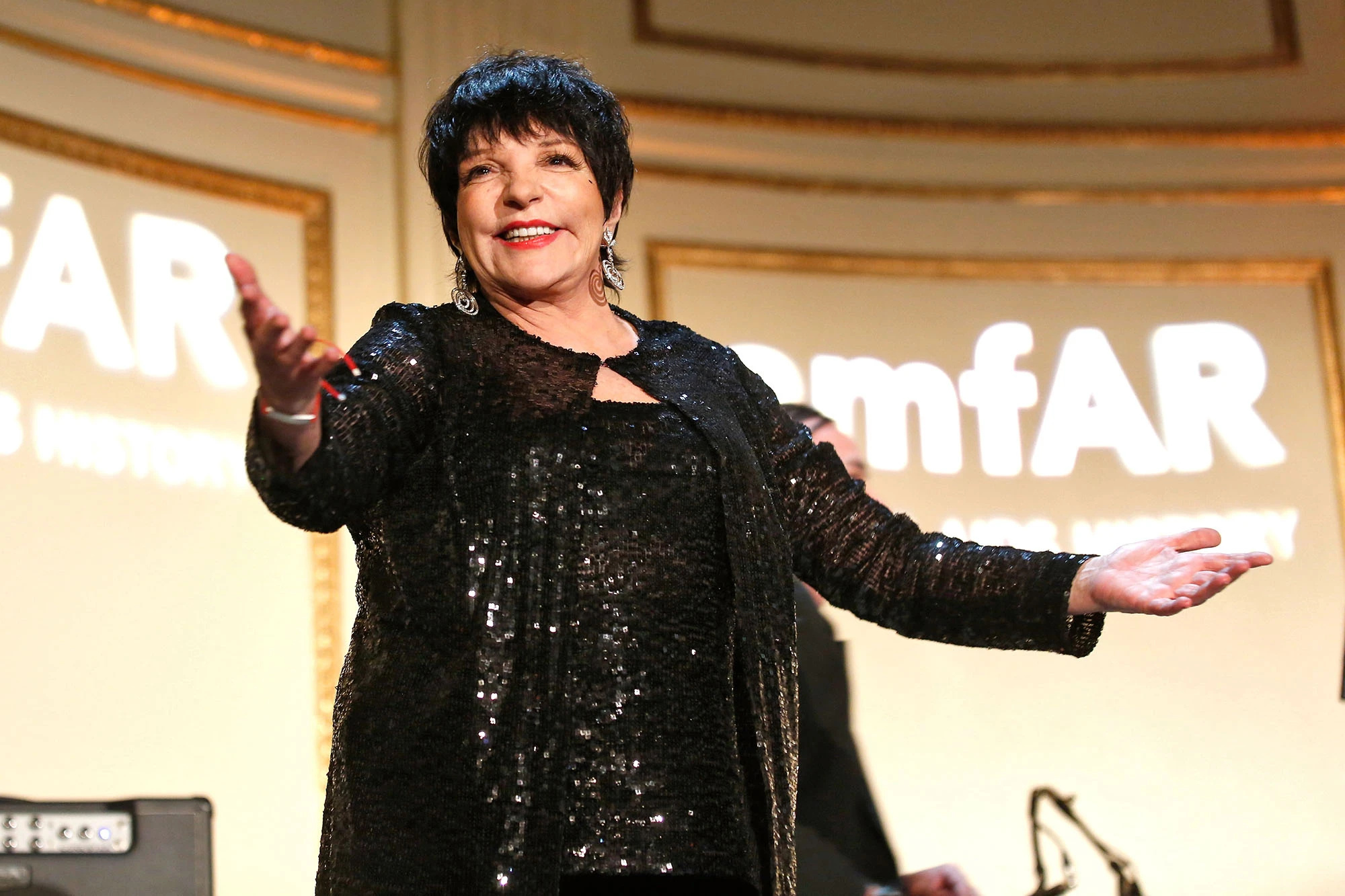 Liza Minnelli, VIP crowd, Dolce & Gabbana show, Live performance, 2000x1340 HD Desktop