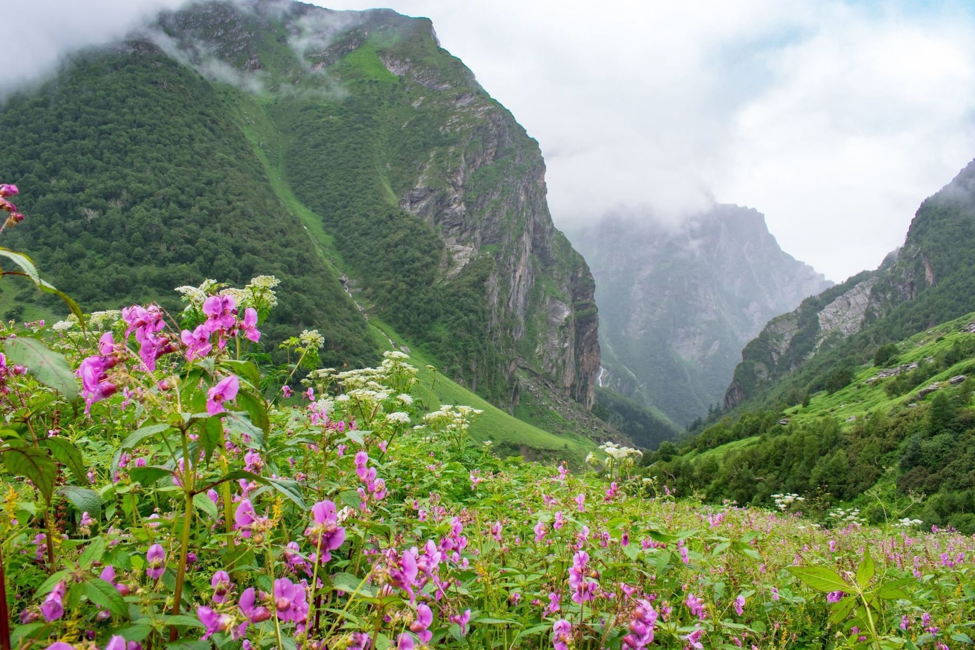 Valley of Flowers, Complete travel guide, Veena World, Travel, 1920x1280 HD Desktop