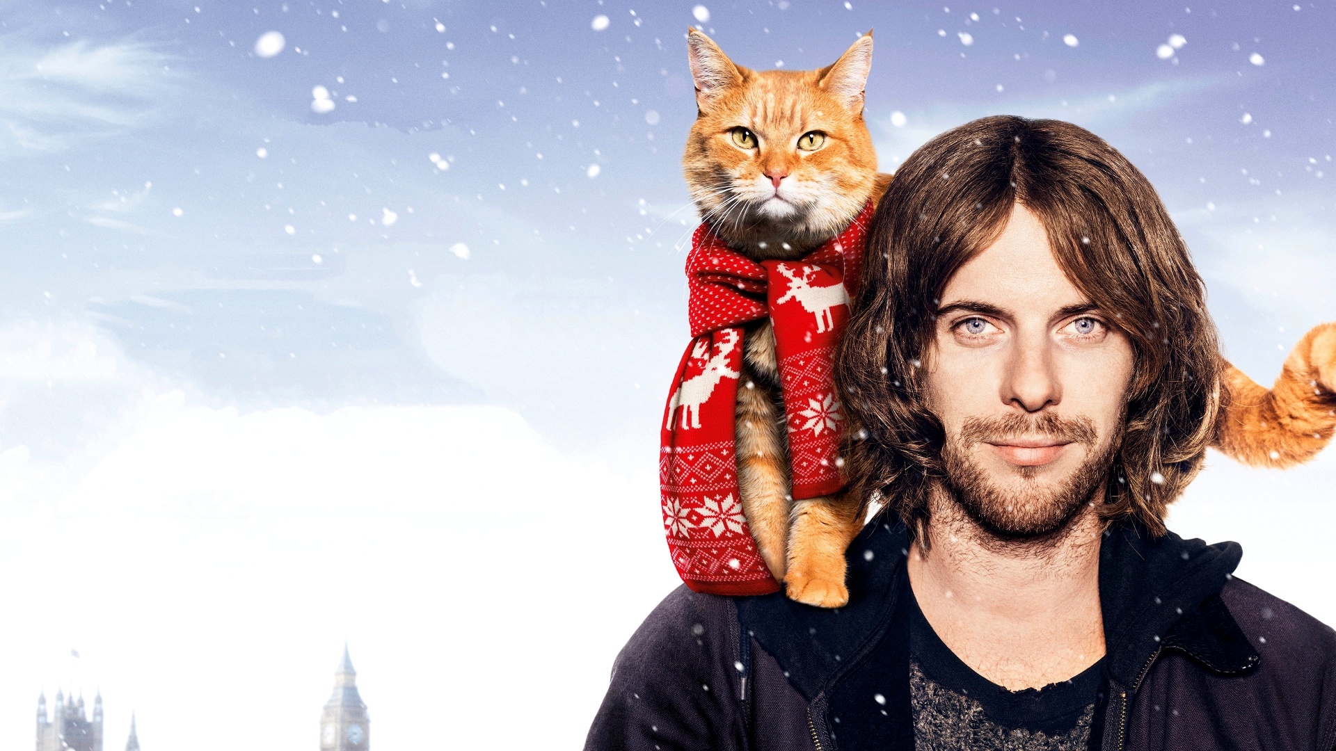 Street Cat Bob movie, Bob the cat, Fanart, Movies, 1920x1080 Full HD Desktop